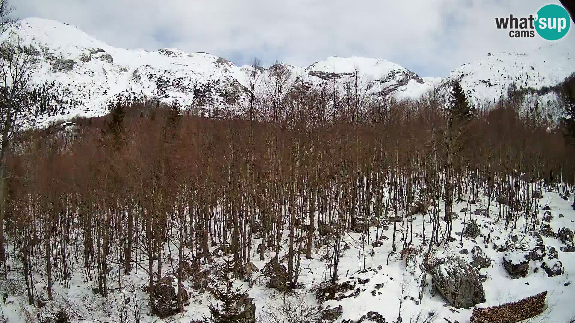 PLANINA RAZOR webcam (1315) | view to Vogel and Globoko