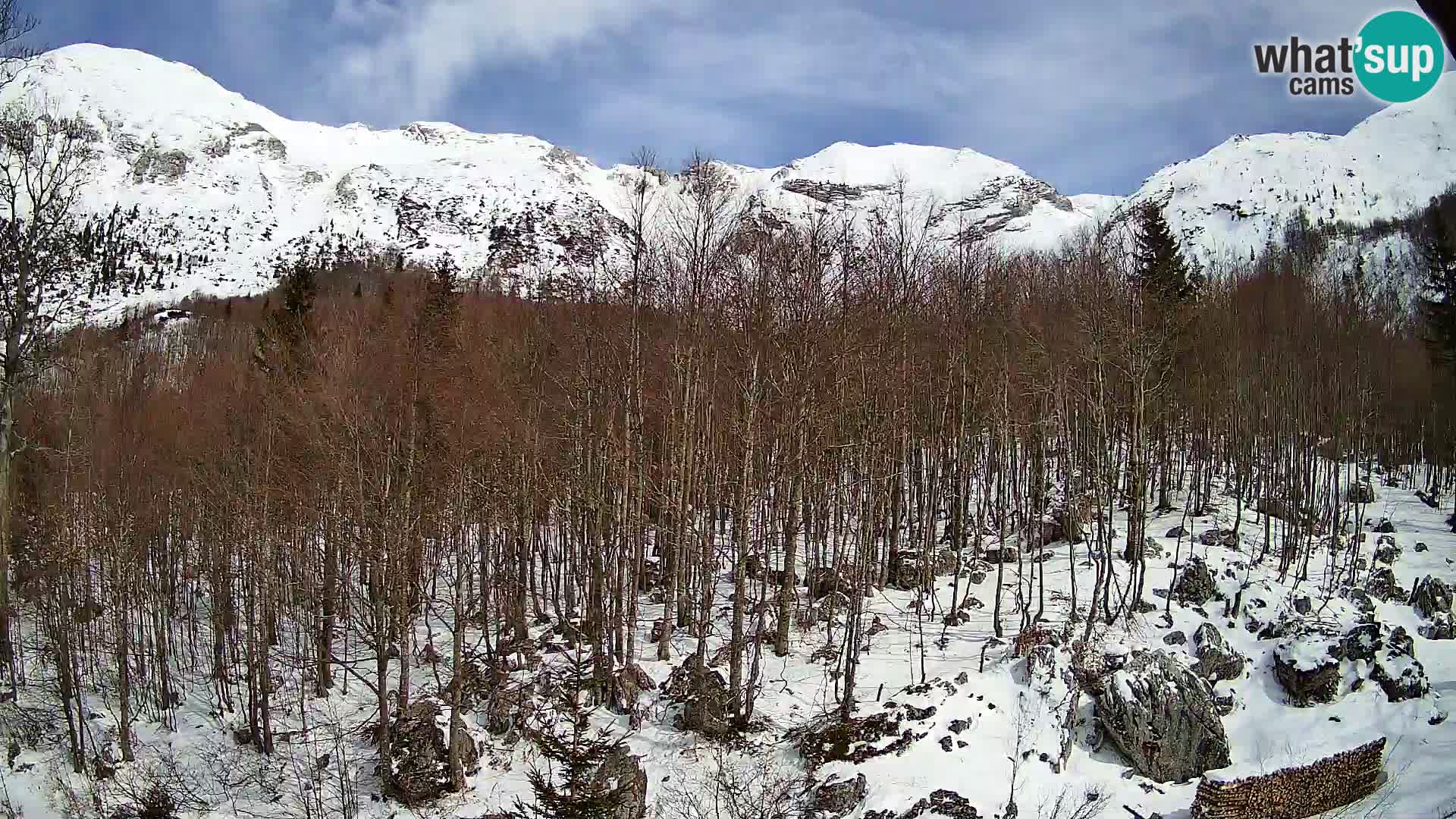 PLANINA RAZOR kamera (1315) | pogled na Vogel in Globoko