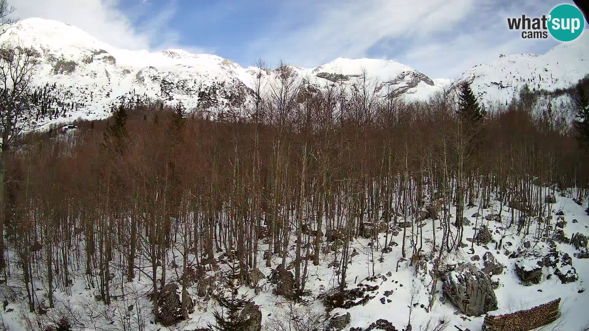Livecam PLANINA RAZOR (1315) | vue sur Vogel et Globoko