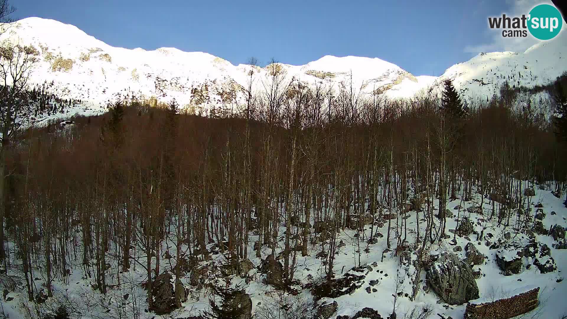 PLANINA RAZOR kamera (1315) | pogled na Vogel in Globoko