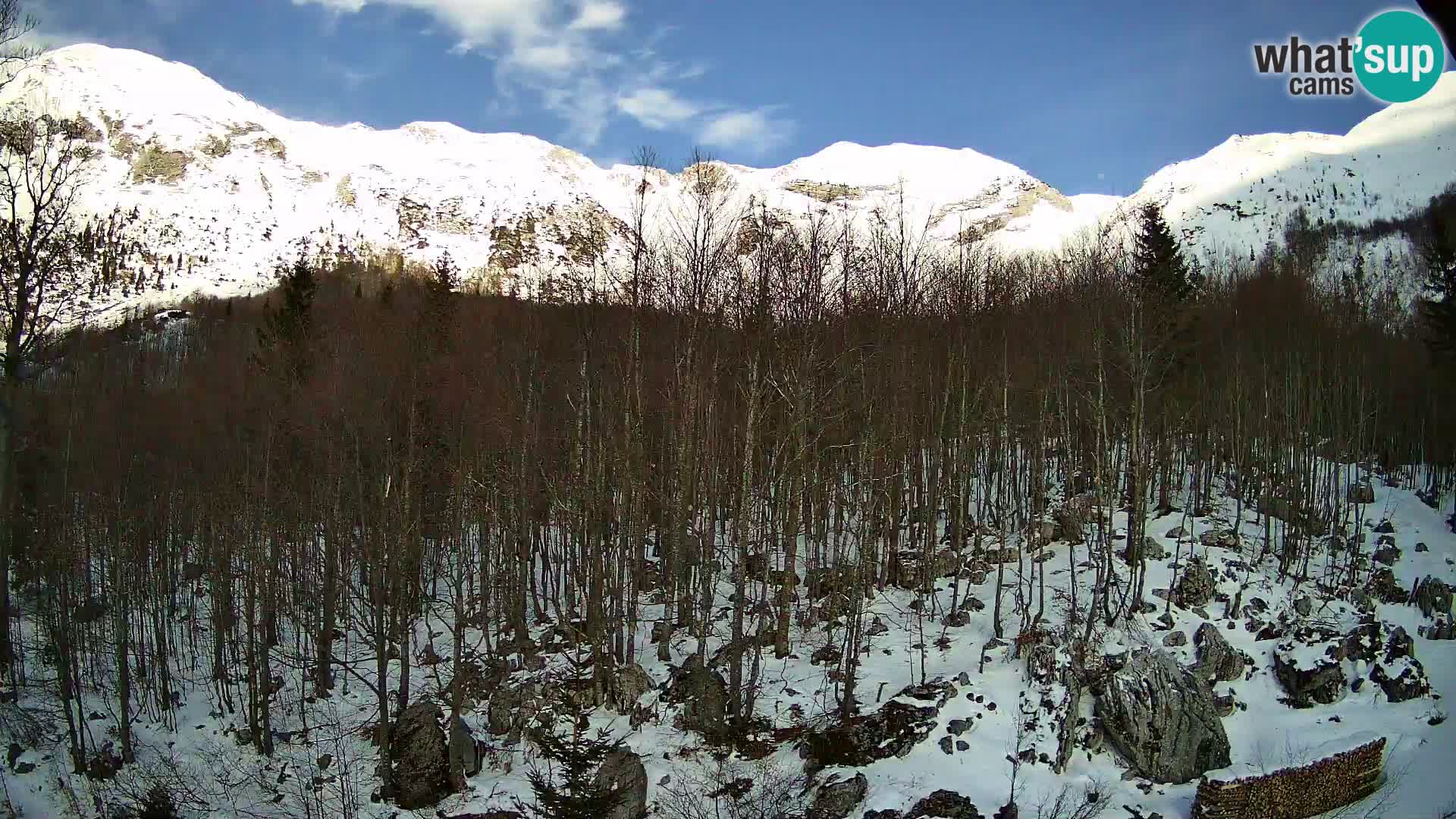 PLANINA RAZOR webcam (1315) | view to Vogel and Globoko