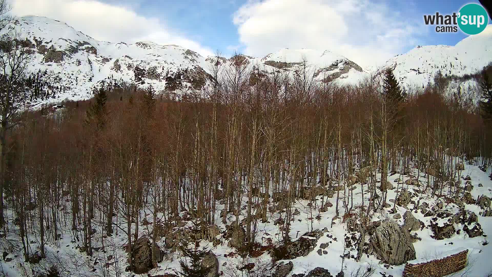 PLANINA RAZOR webcam (1315) | view to Vogel and Globoko