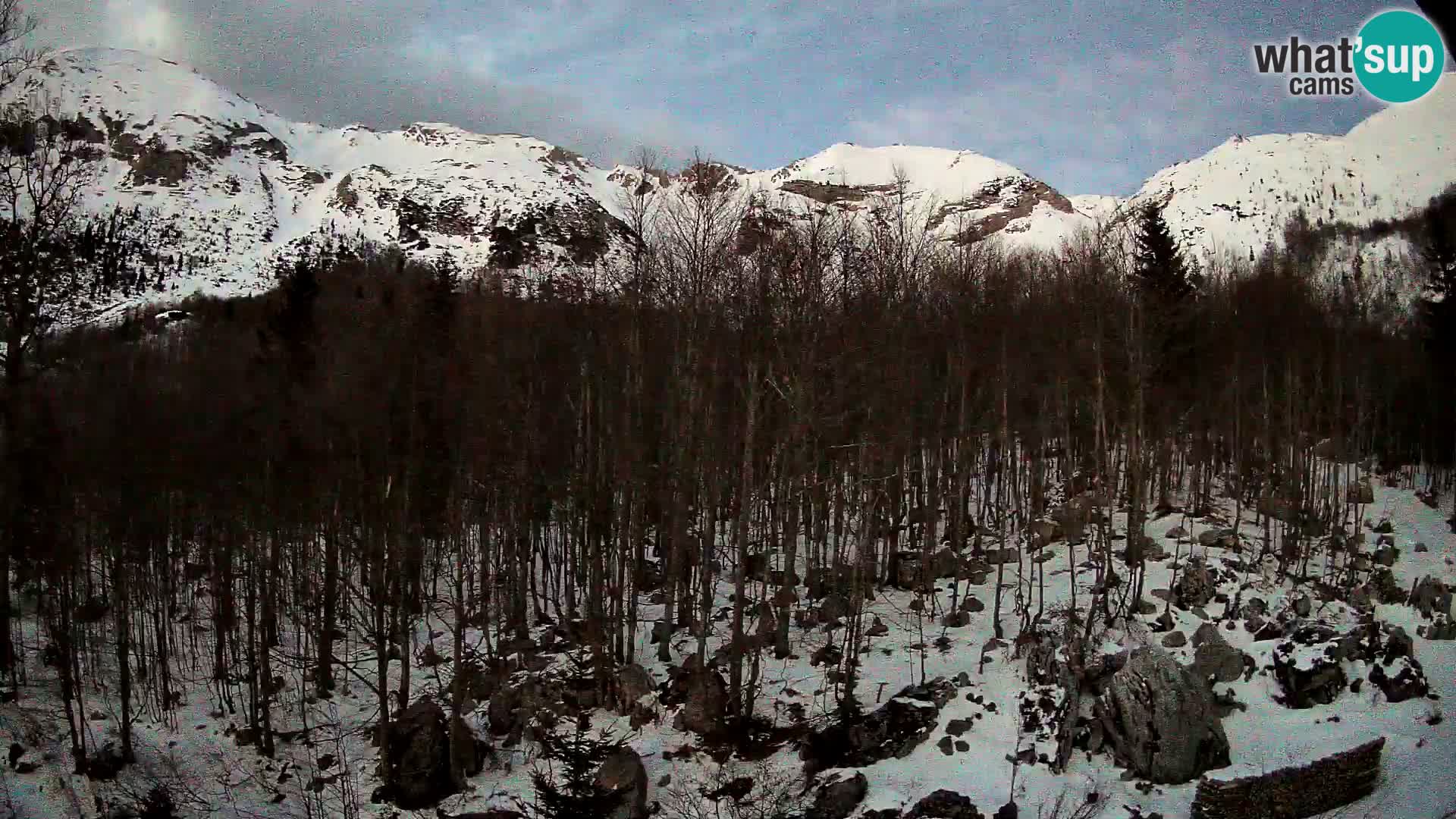 Webcam PLANINA RAZOR (1315) | Blick auf Vogel und Globoko