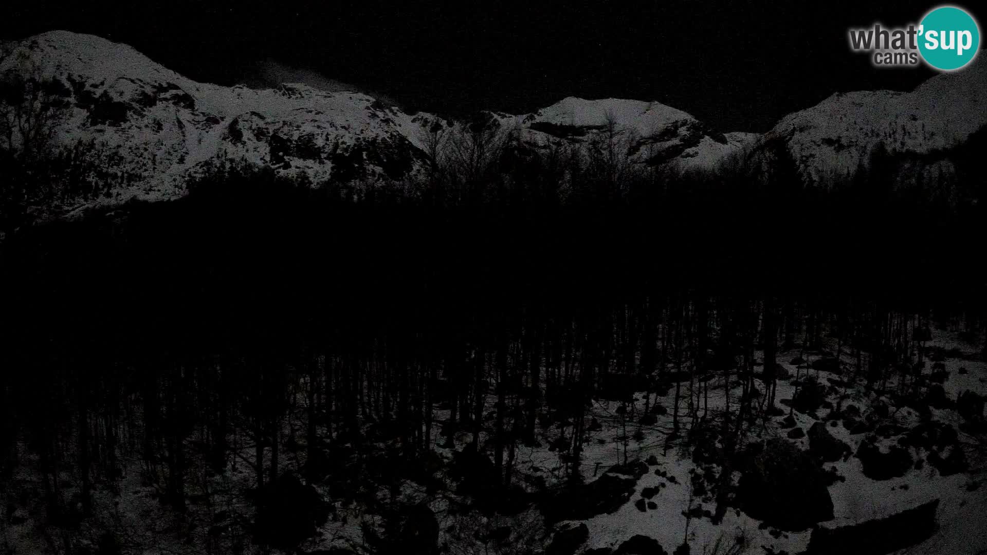 Webcam PLANINA RAZOR (1315) | Blick auf Vogel und Globoko