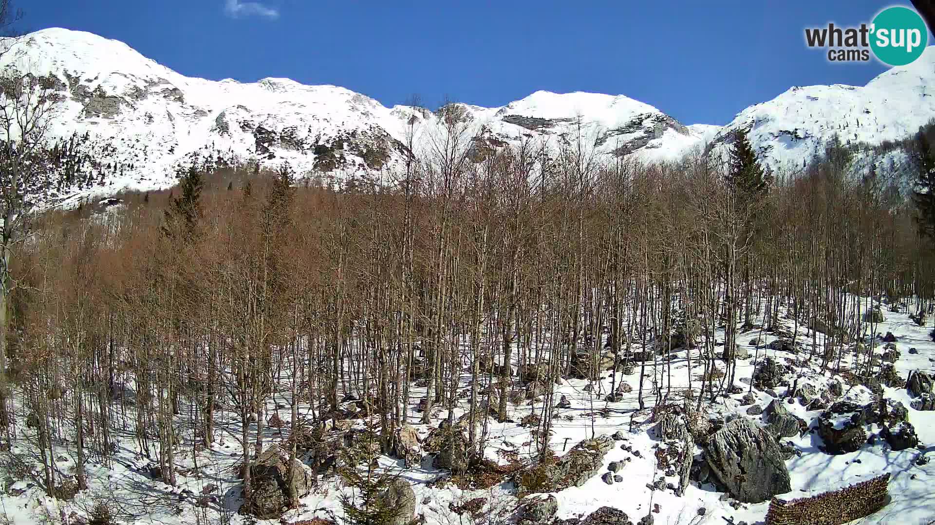 PLANINA RAZOR web kamera (1315) | pogled na Vogel i Globoko