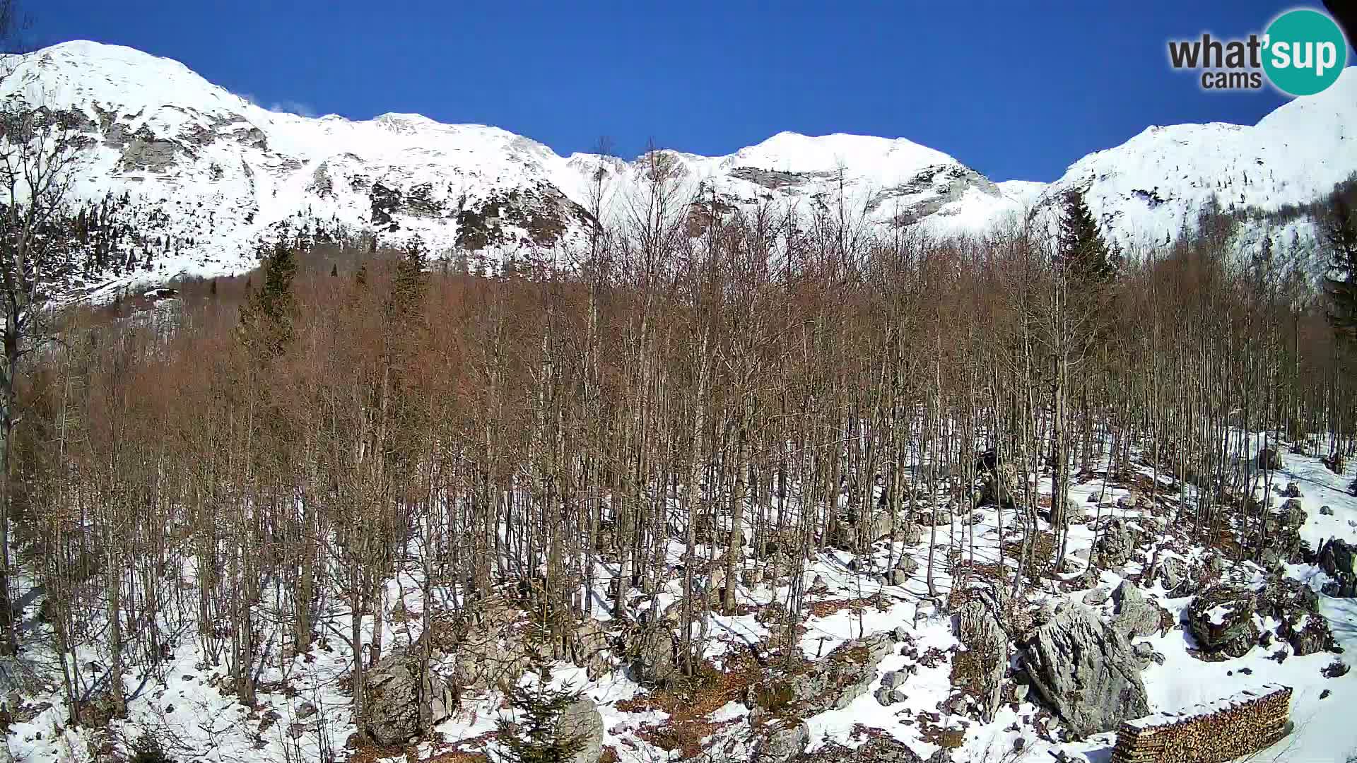 Cámara web PLANINA RAZOR (1315) | vista a Vogel y Globoko