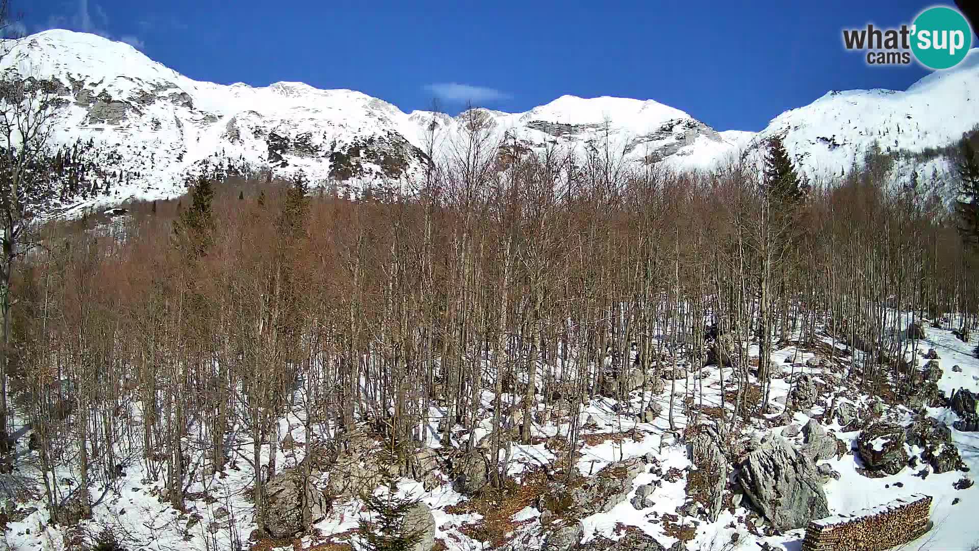 PLANINA RAZOR kamera (1315) | pogled na Vogel in Globoko