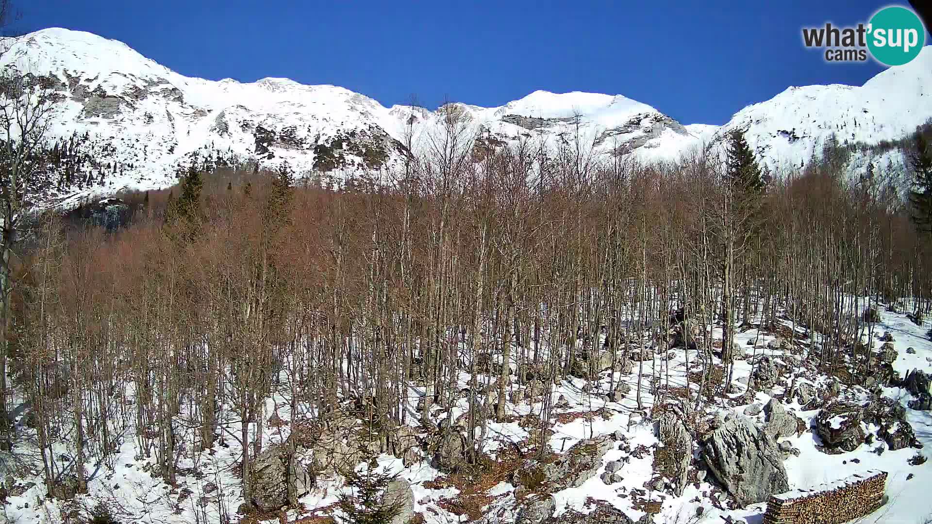 Cámara web PLANINA RAZOR (1315) | vista a Vogel y Globoko