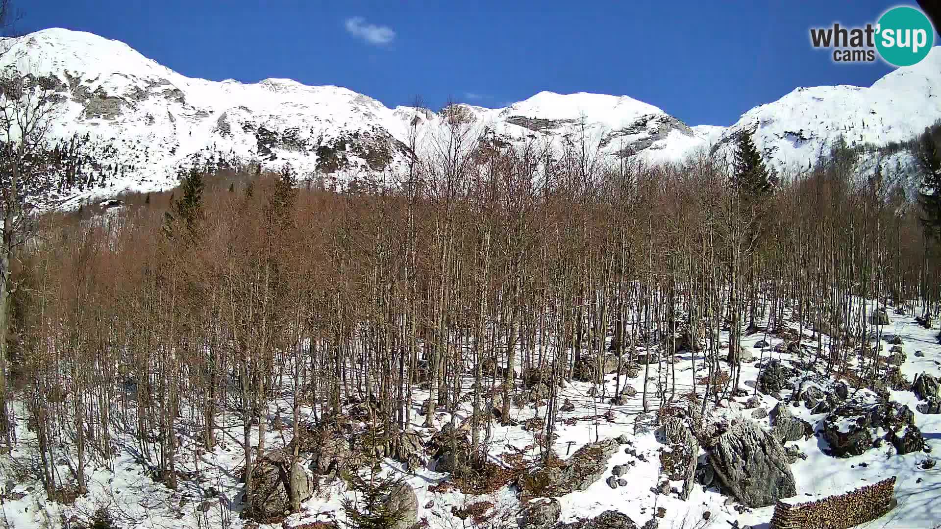 PLANINA RAZOR kamera (1315) | pogled na Vogel in Globoko