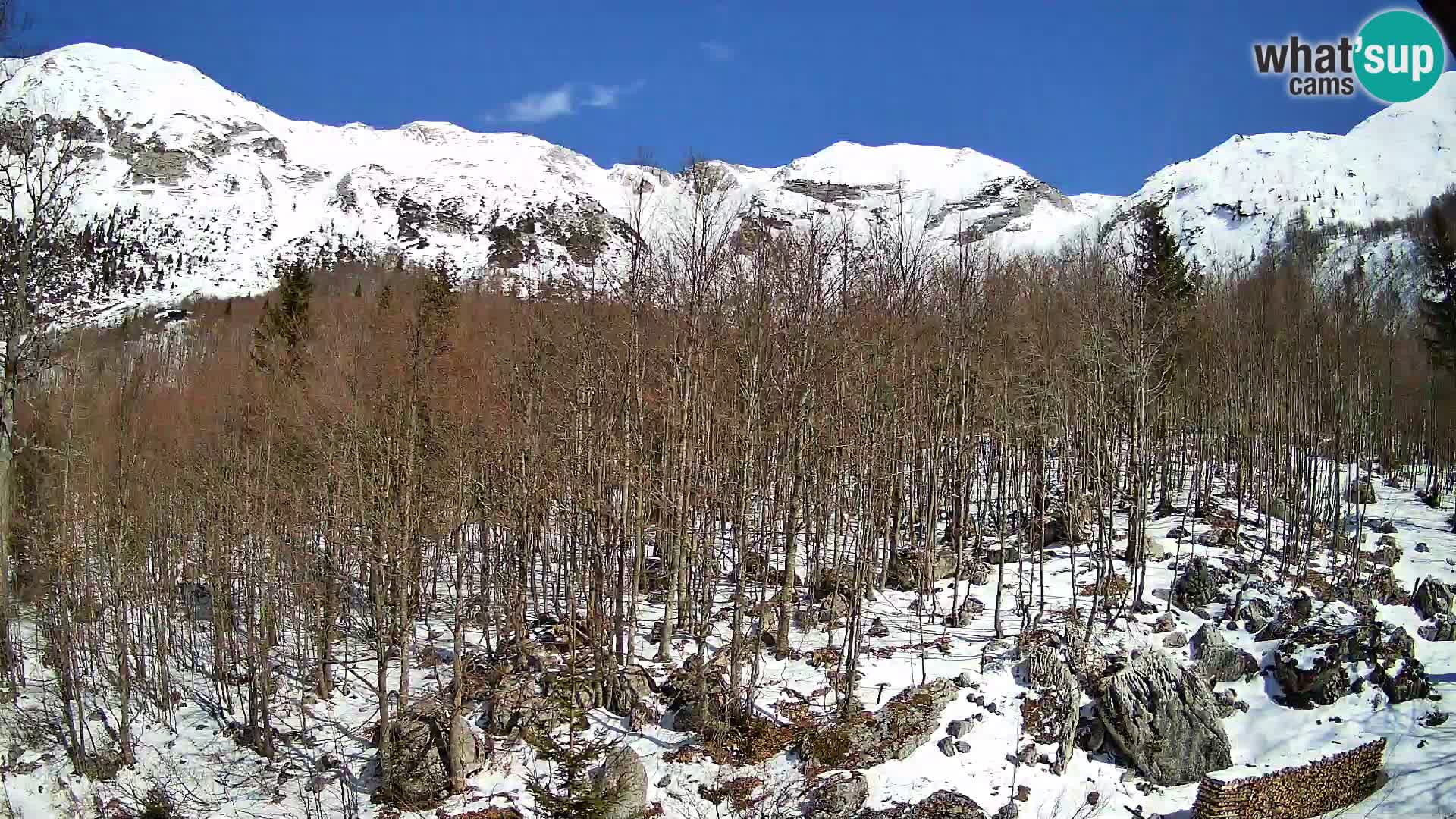 Livecam PLANINA RAZOR (1315) | vue sur Vogel et Globoko