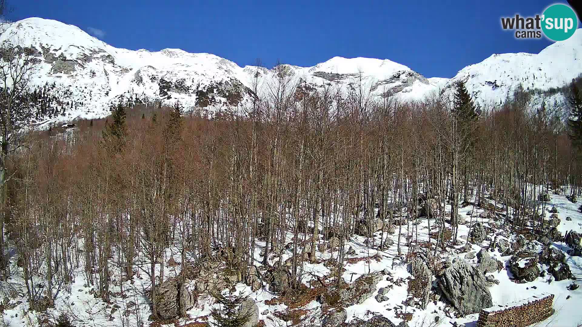 PLANINA RAZOR web kamera (1315) | pogled na Vogel i Globoko