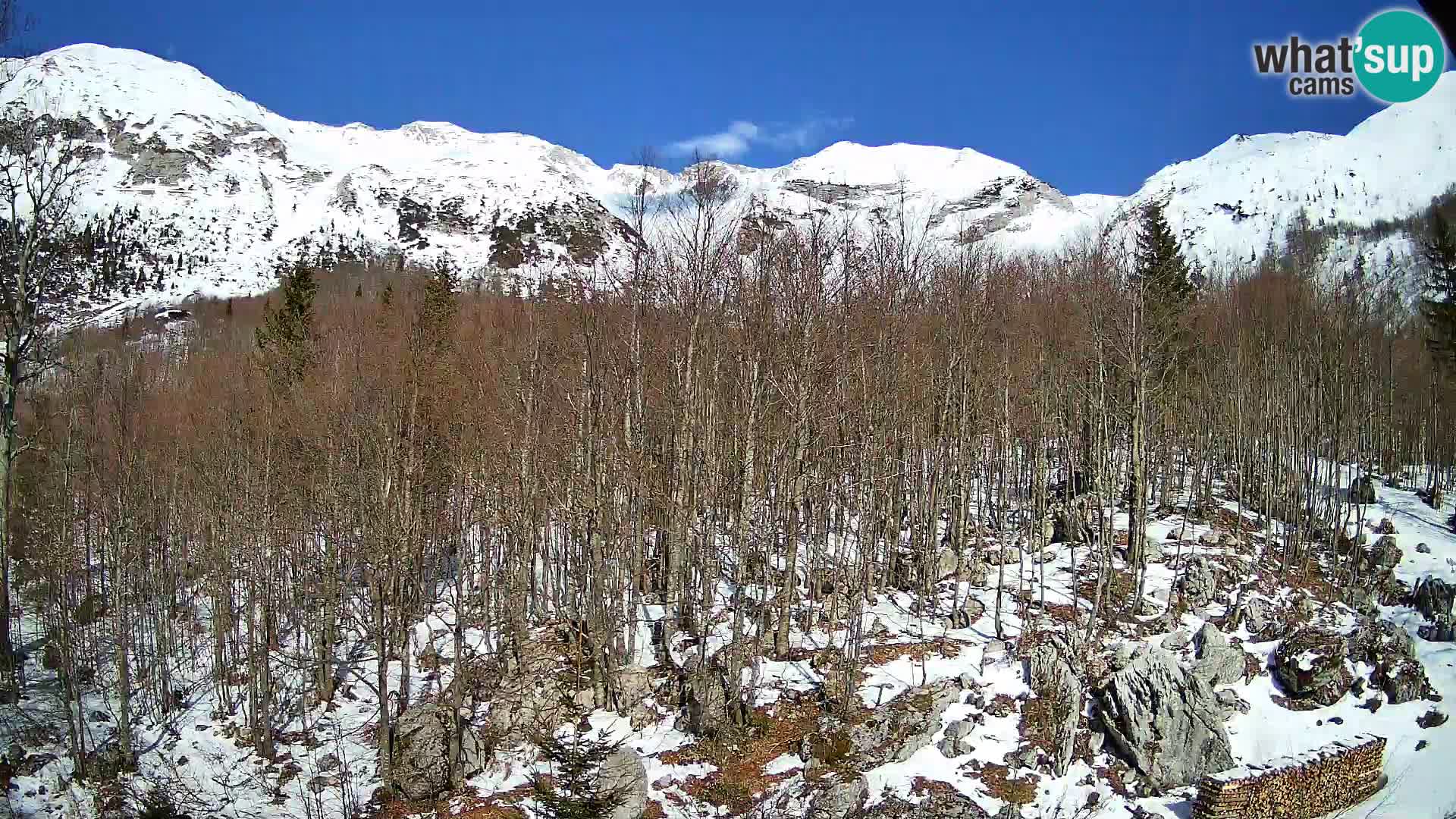 PLANINA RAZOR webcam (1315) | view to Vogel and Globoko