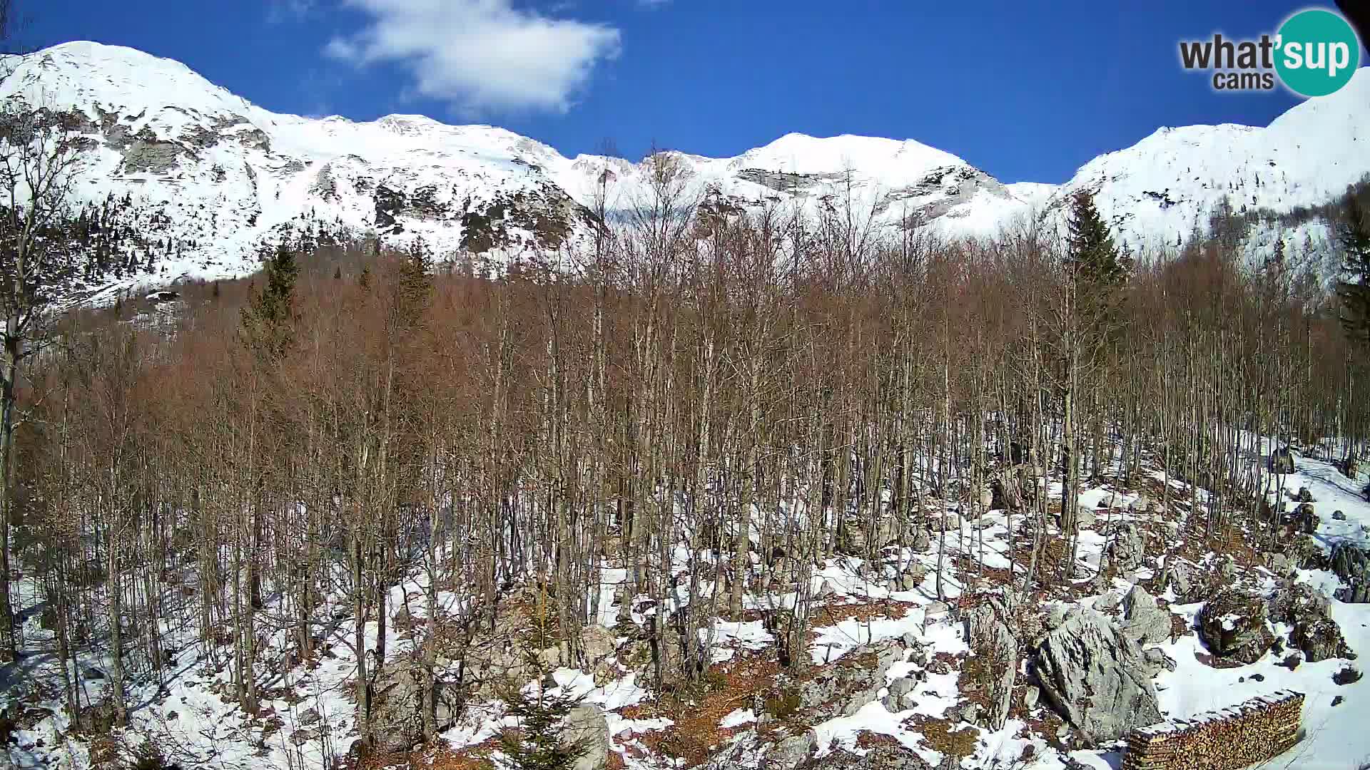 PLANINA RAZOR webcam (1315) | view to Vogel and Globoko