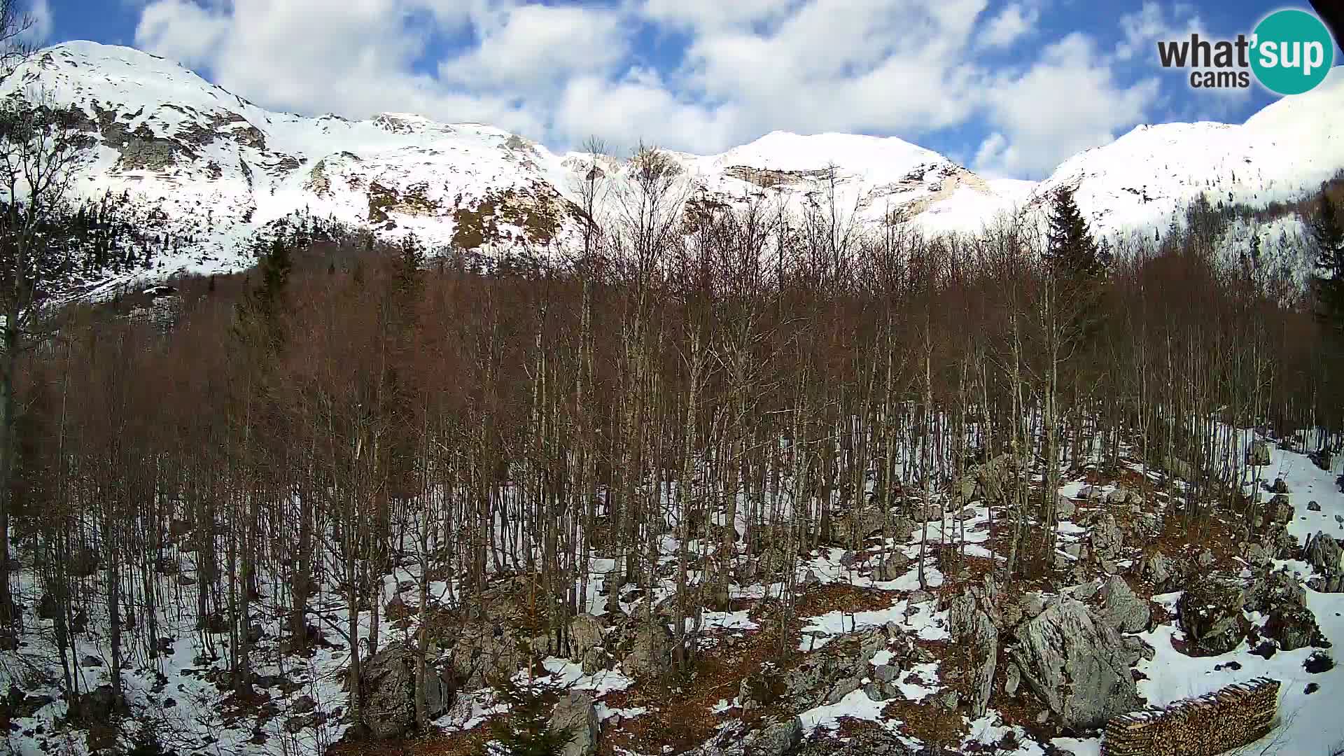 Cámara web PLANINA RAZOR (1315) | vista a Vogel y Globoko