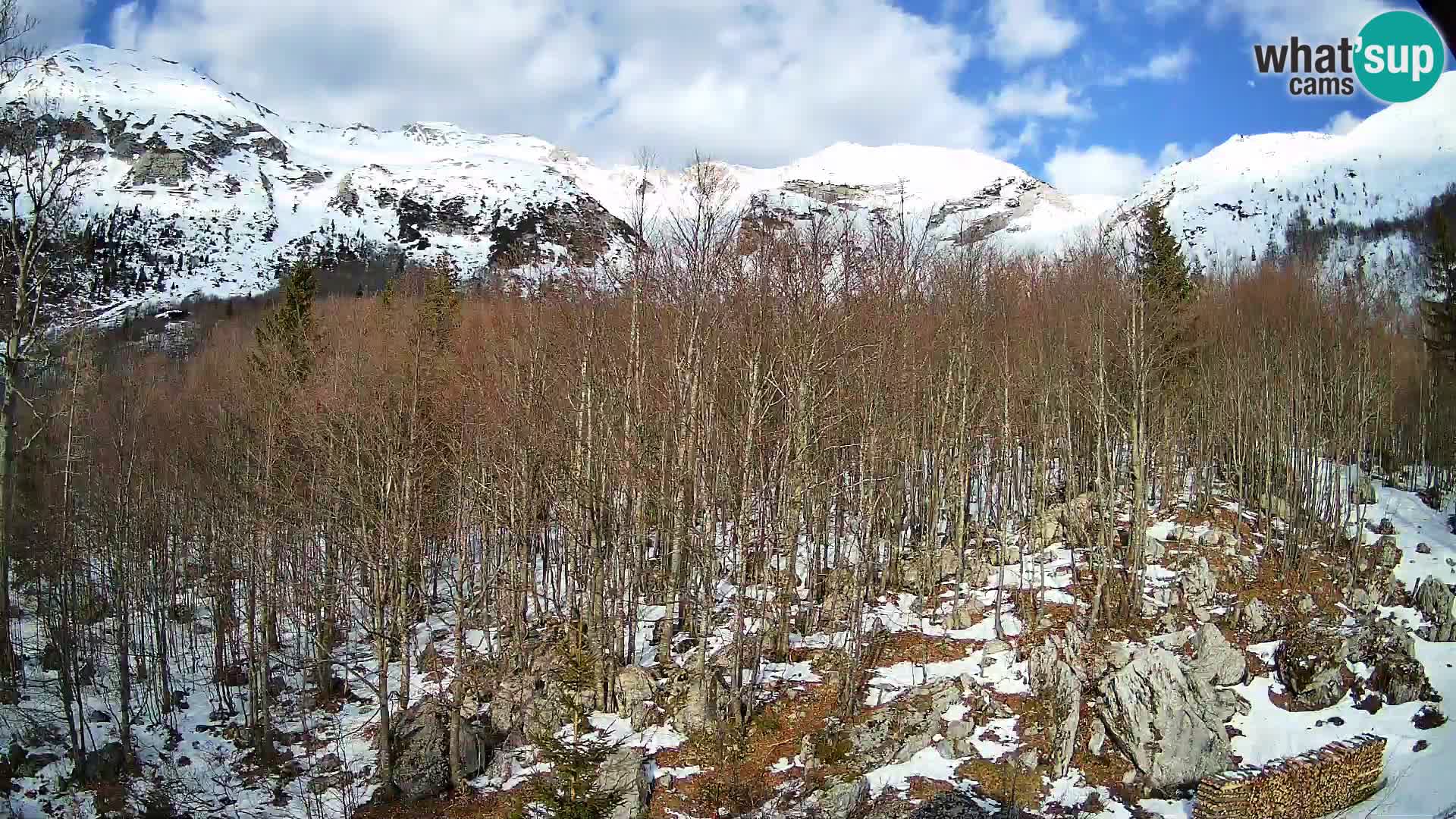 Webcam PLANINA RAZOR (1315) | Blick auf Vogel und Globoko