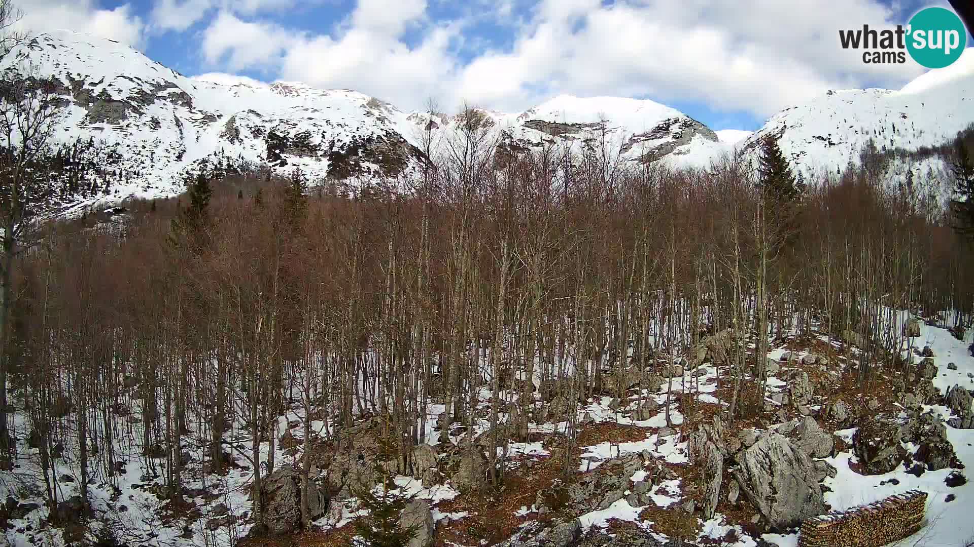 PLANINA RAZOR Live Cam (1315) | vista su Vogel e Globoko