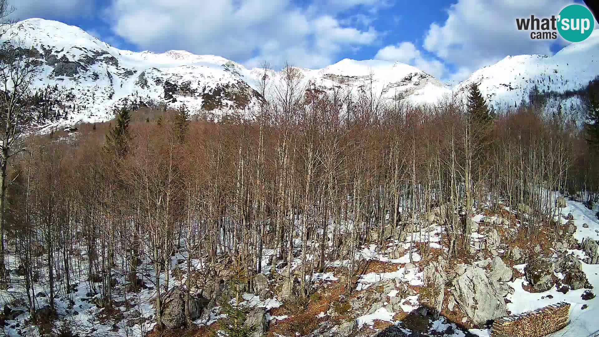 Webcam PLANINA RAZOR (1315) | Blick auf Vogel und Globoko