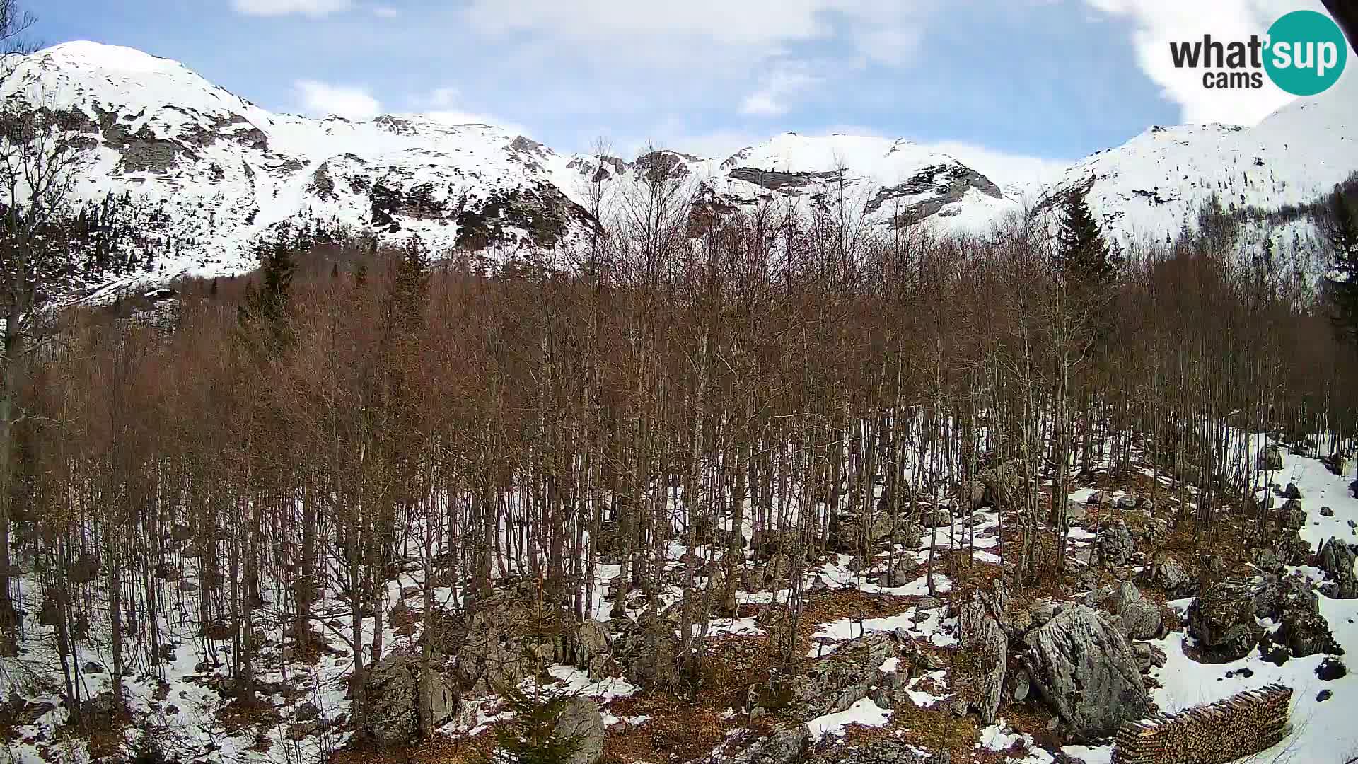 PLANINA RAZOR Live Cam (1315) | vista su Vogel e Globoko