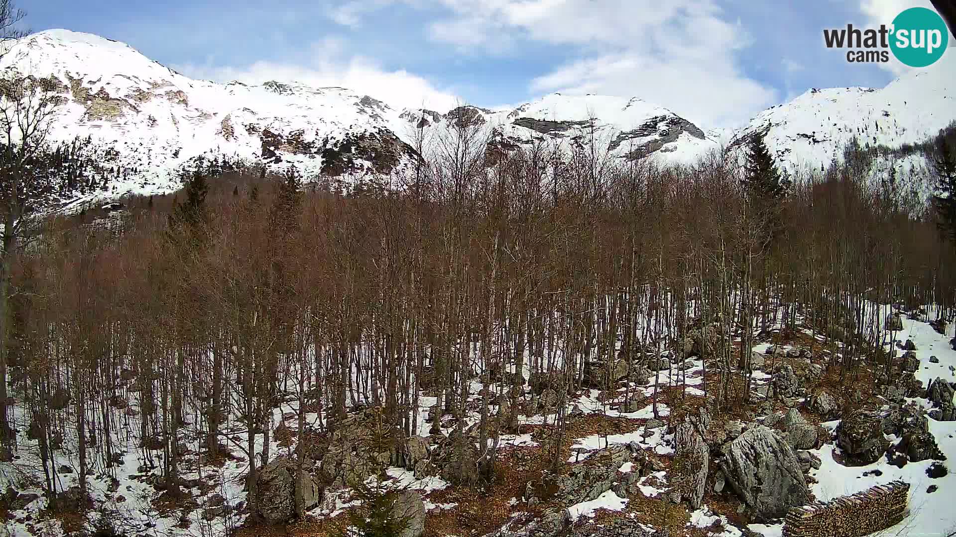 Webcam PLANINA RAZOR (1315) | Blick auf Vogel und Globoko