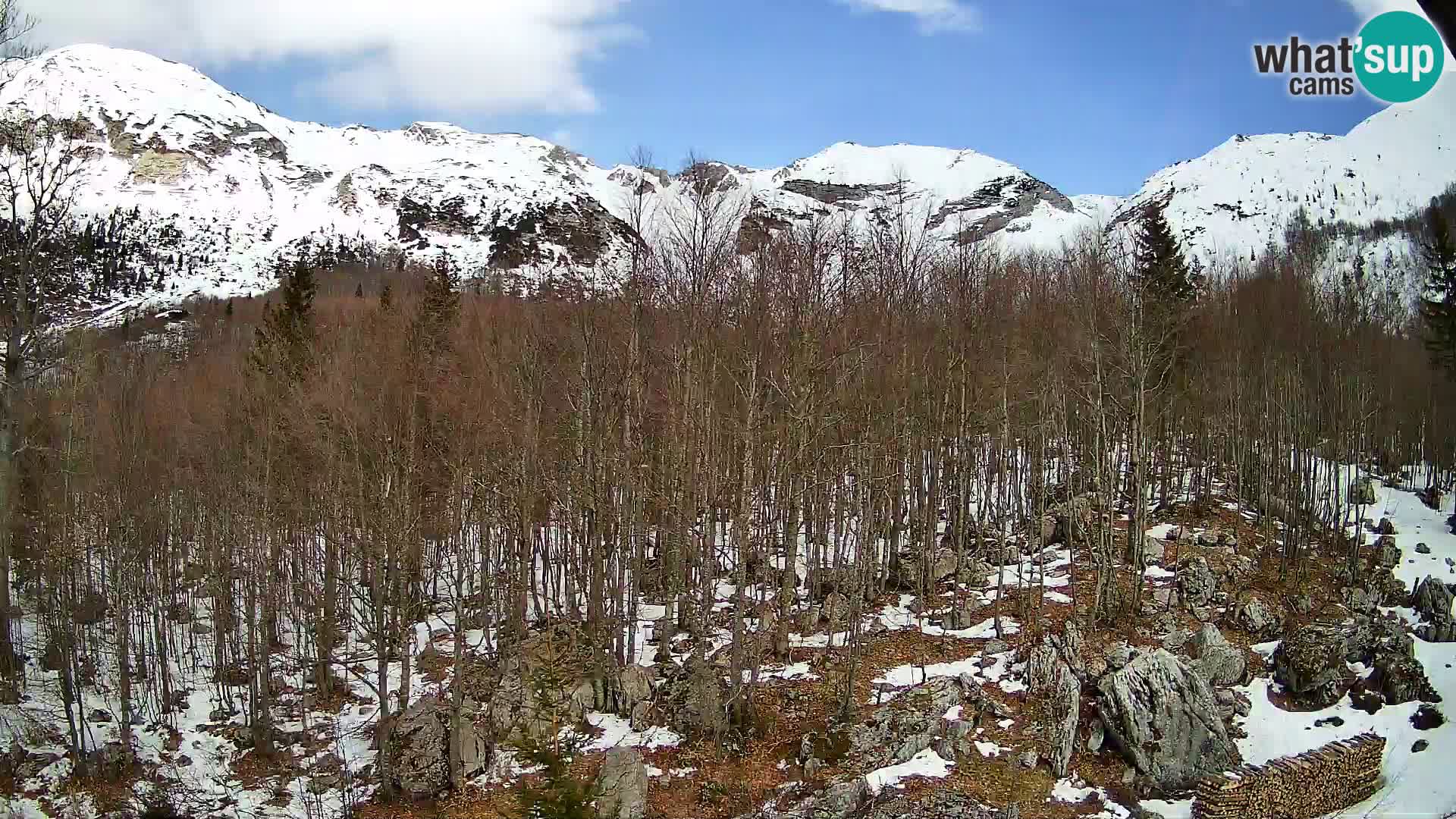 Webcam PLANINA RAZOR (1315) | Blick auf Vogel und Globoko