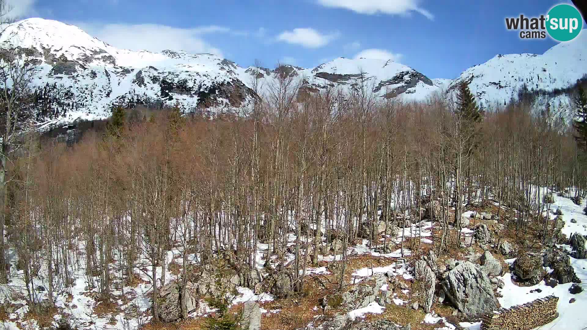 Webcam PLANINA RAZOR (1315) | Blick auf Vogel und Globoko