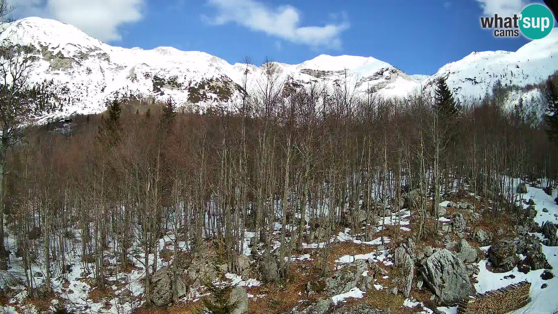 PLANINA RAZOR webcam (1315) | view to Vogel and Globoko