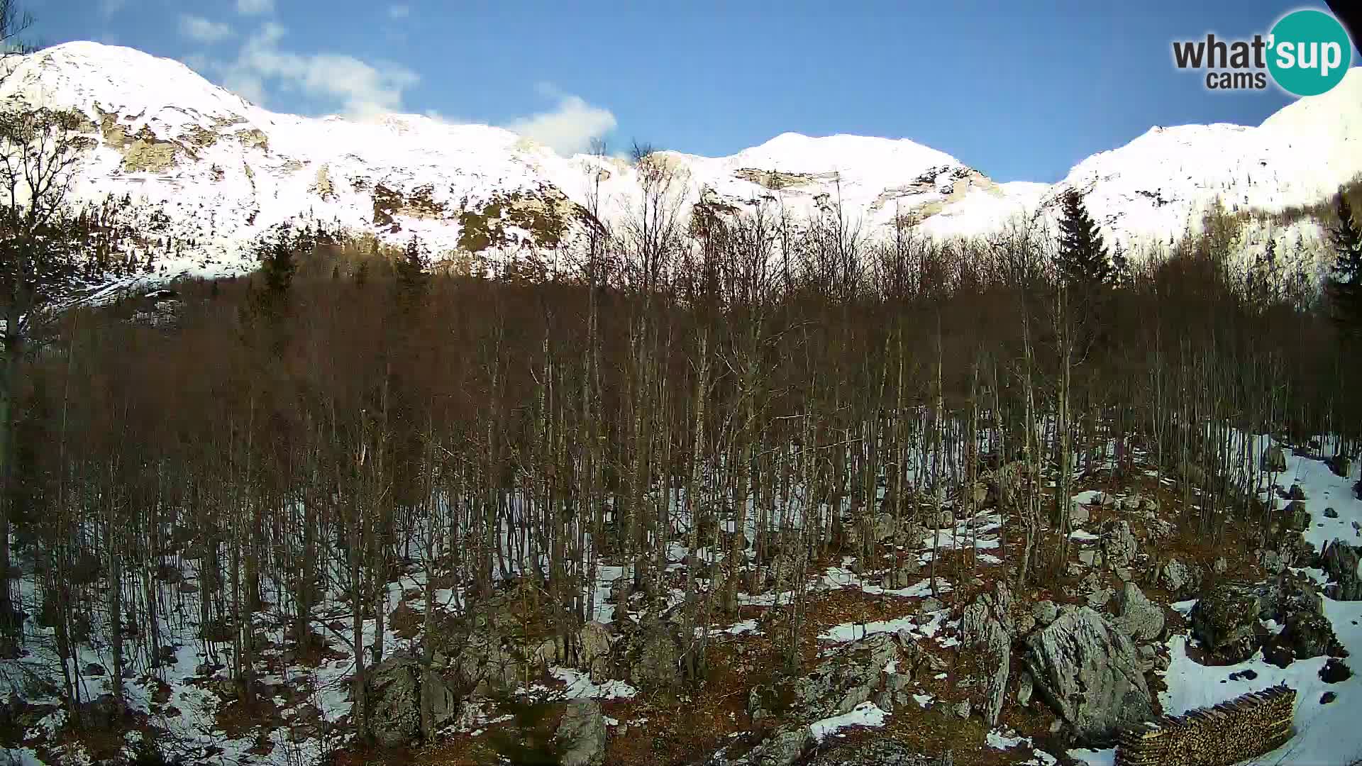 Webcam PLANINA RAZOR (1315) | Blick auf Vogel und Globoko