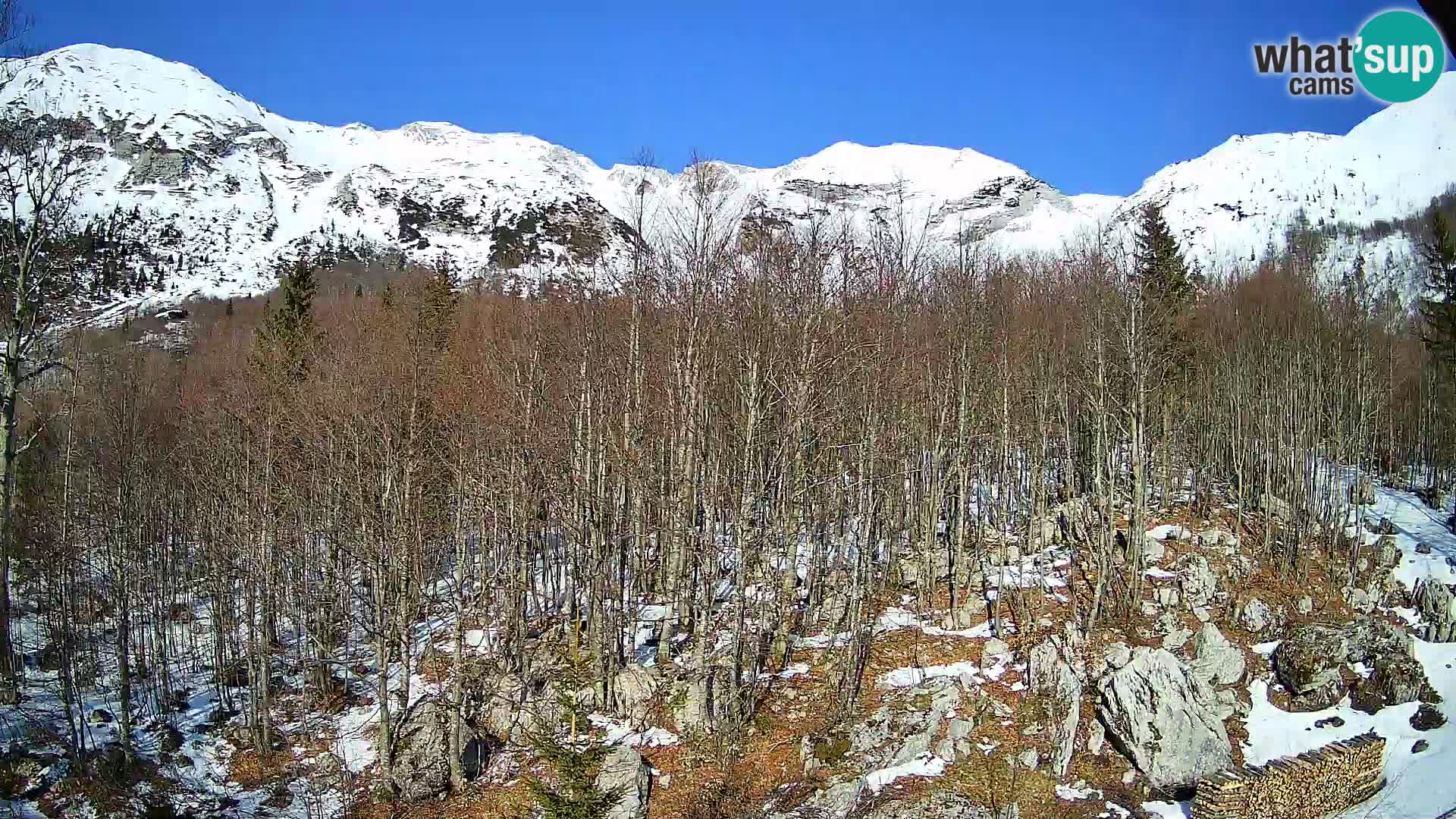 PLANINA RAZOR webcam (1315) | view to Vogel and Globoko