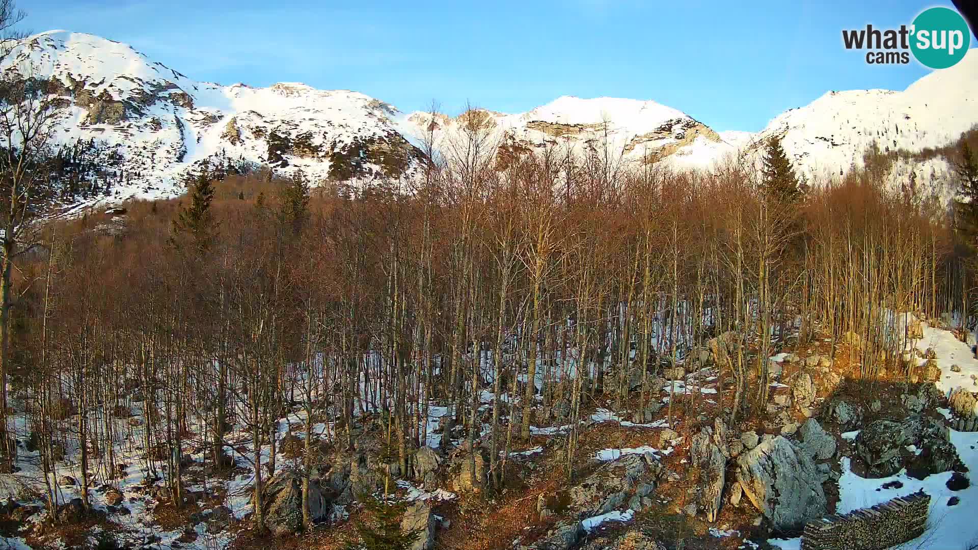 Webcam PLANINA RAZOR (1315) | Blick auf Vogel und Globoko