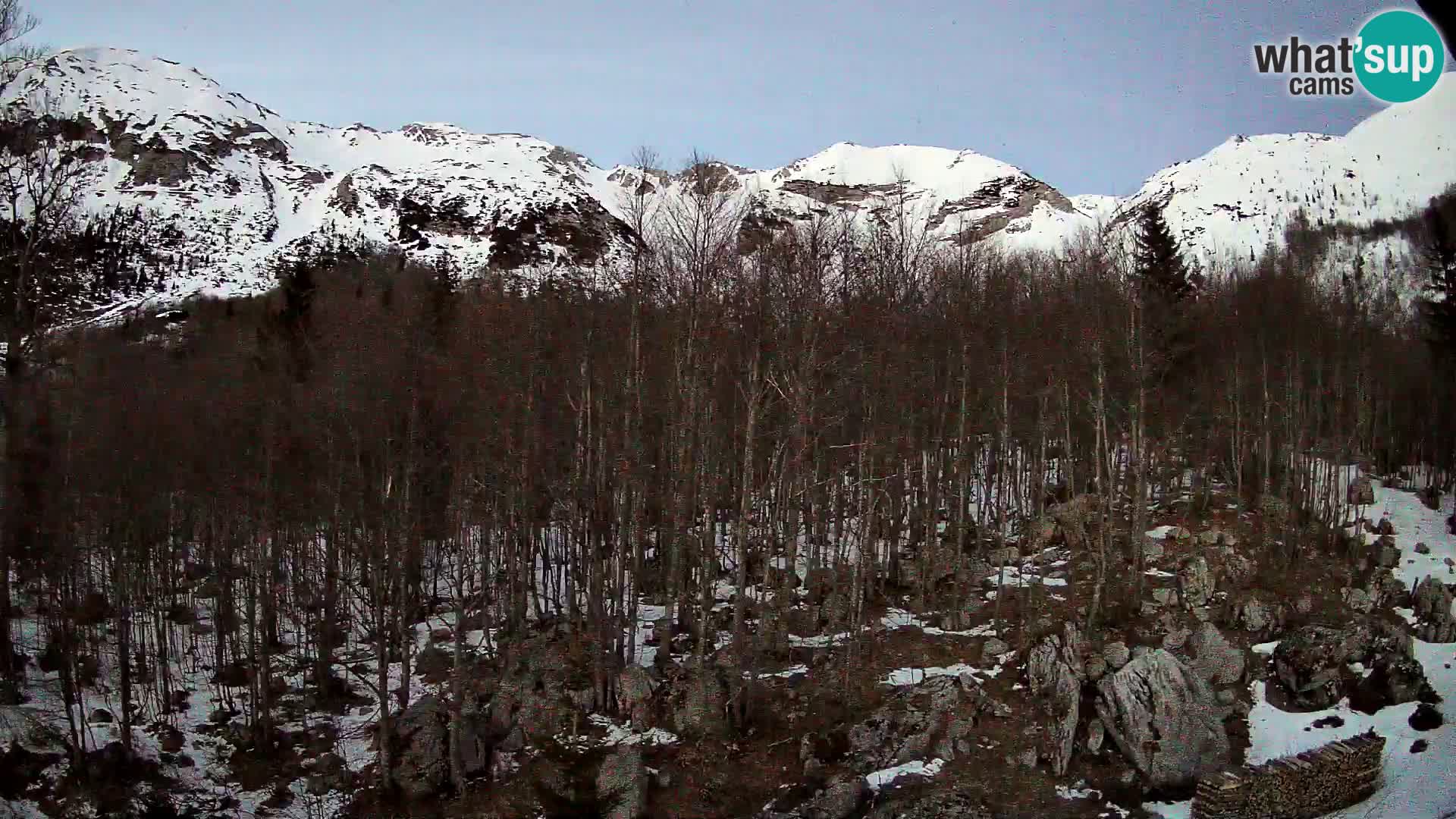 PLANINA RAZOR webcam (1315) | view to Vogel and Globoko