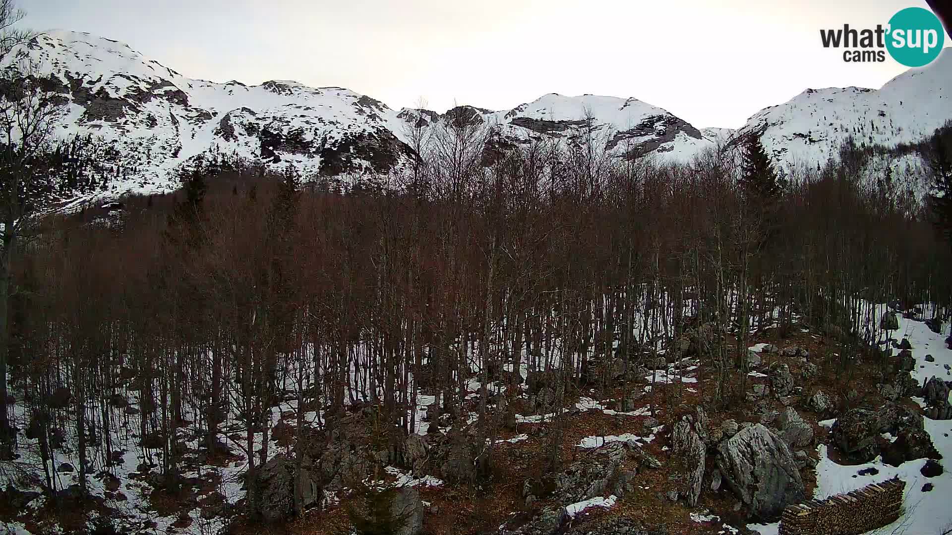 Webcam PLANINA RAZOR (1315) | Blick auf Vogel und Globoko