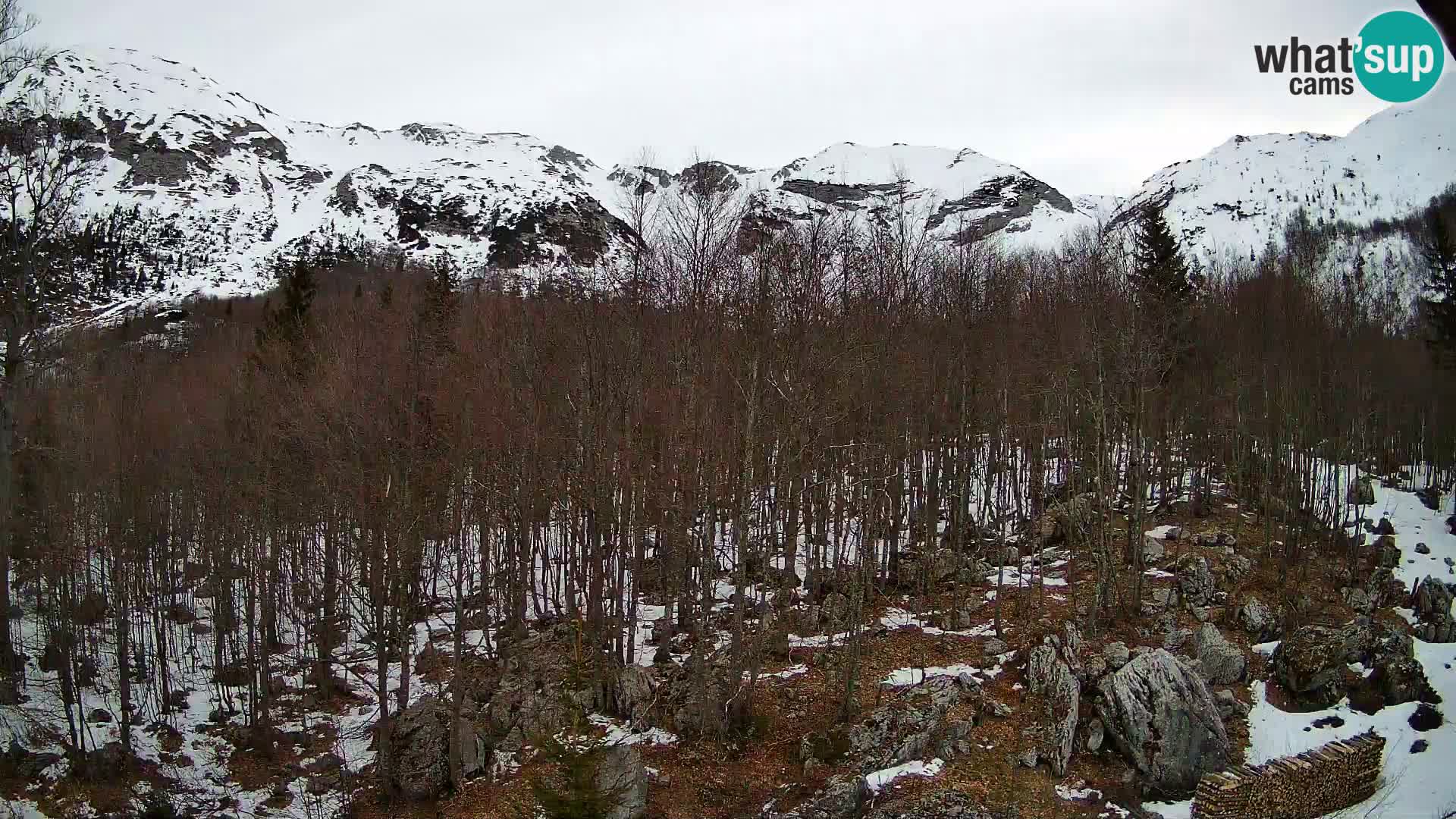 PLANINA RAZOR kamera (1315) | pogled na Vogel in Globoko