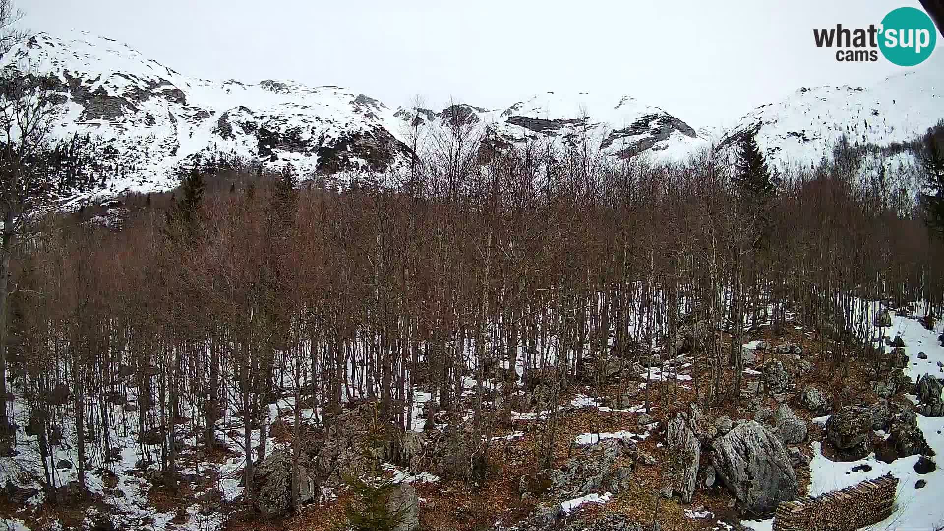 PLANINA RAZOR kamera (1315) | pogled na Vogel in Globoko
