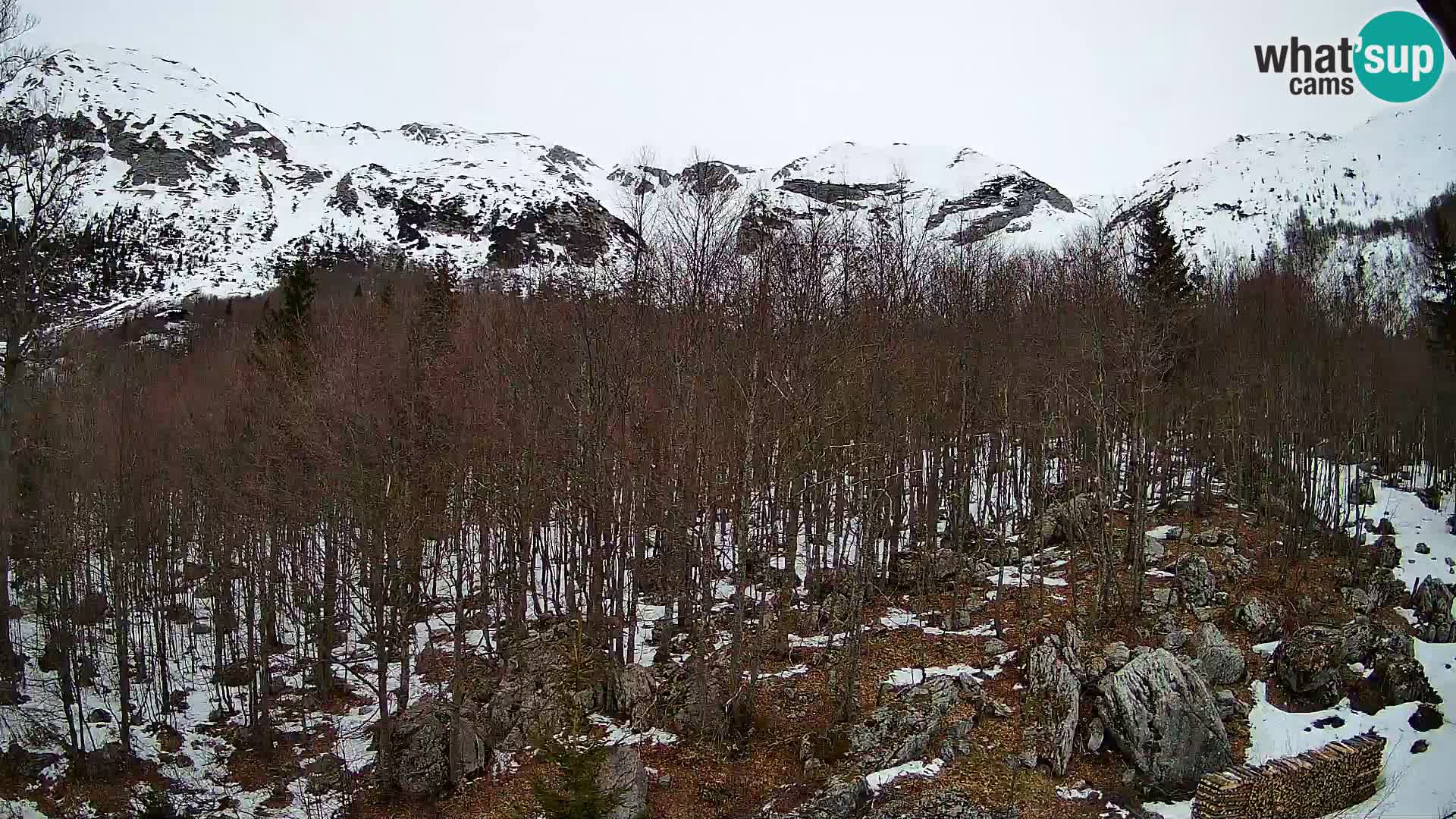 Livecam PLANINA RAZOR (1315) | vue sur Vogel et Globoko