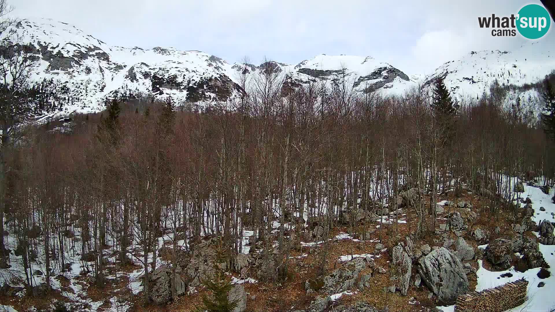 PLANINA RAZOR webcam (1315) | view to Vogel and Globoko