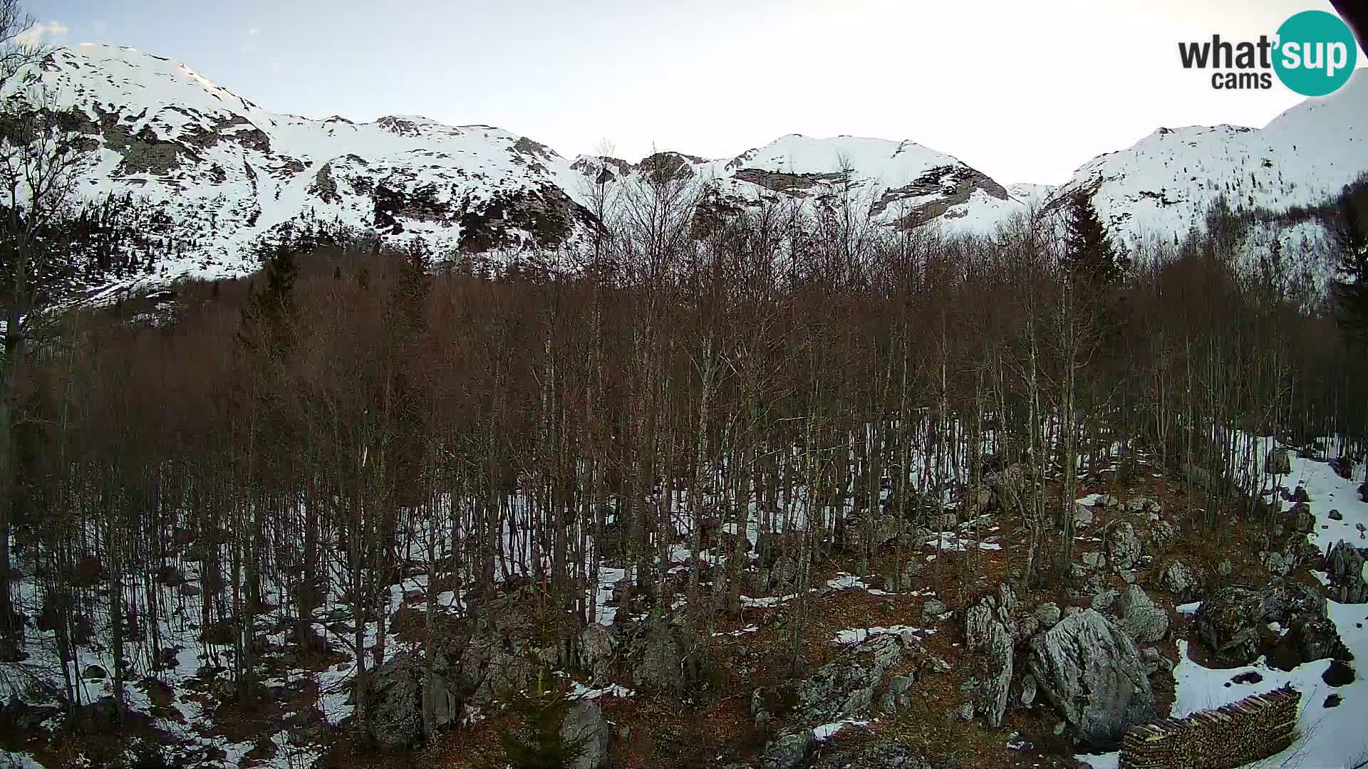 Webcam PLANINA RAZOR (1315) | Blick auf Vogel und Globoko