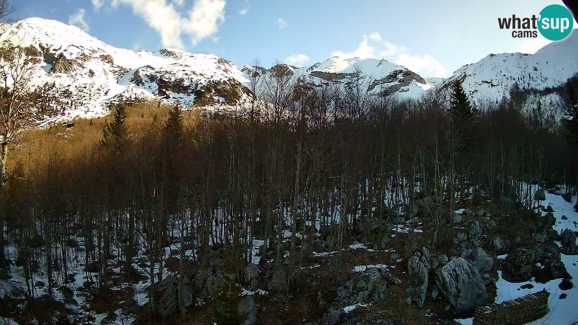 Cámara web PLANINA RAZOR (1315) | vista a Vogel y Globoko