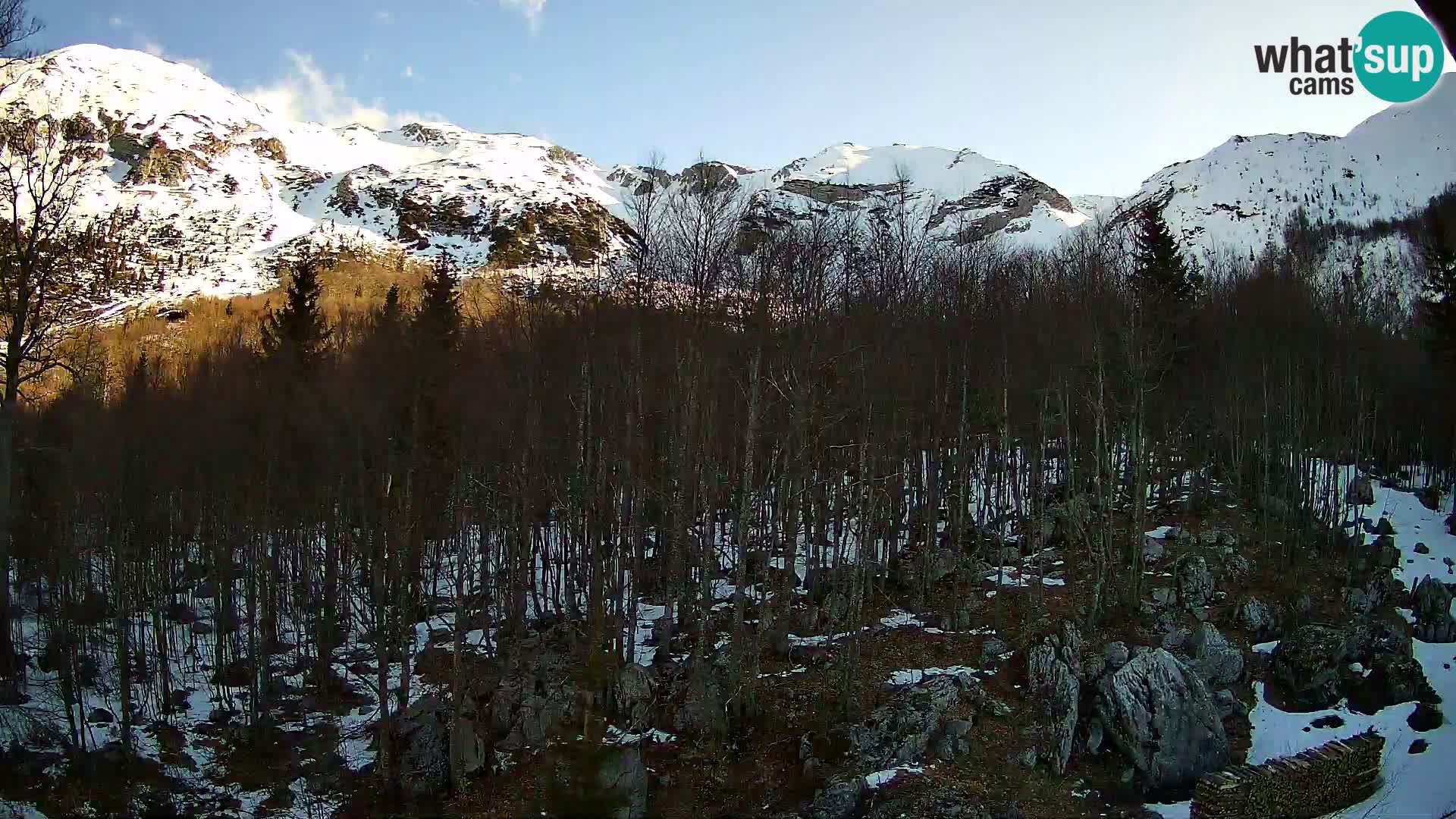 PLANINA RAZOR Live Cam (1315) | vista su Vogel e Globoko