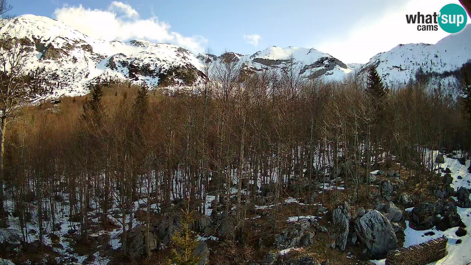 Cámara web PLANINA RAZOR (1315) | vista a Vogel y Globoko