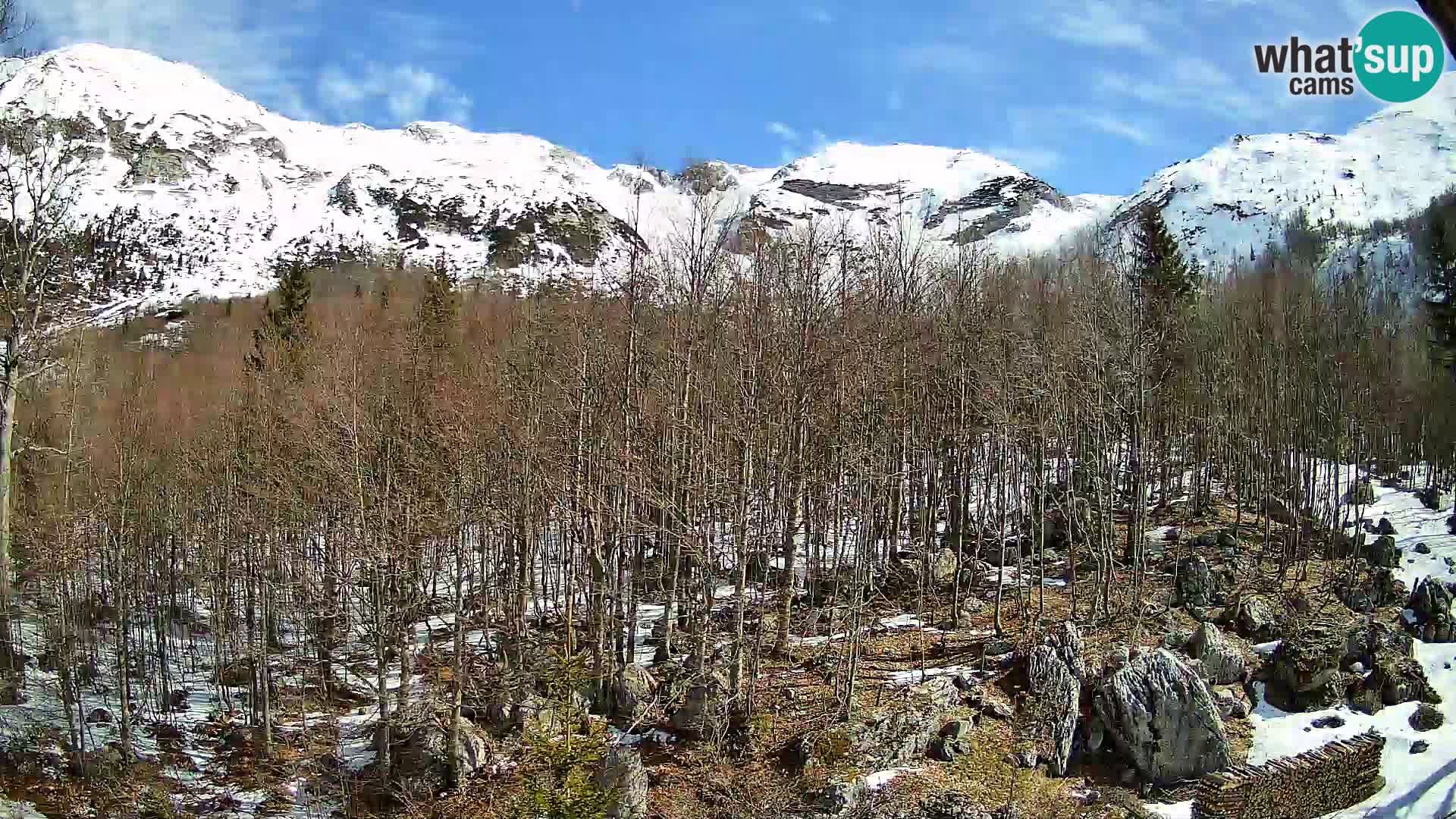 PLANINA RAZOR Live Cam (1315) | vista su Vogel e Globoko