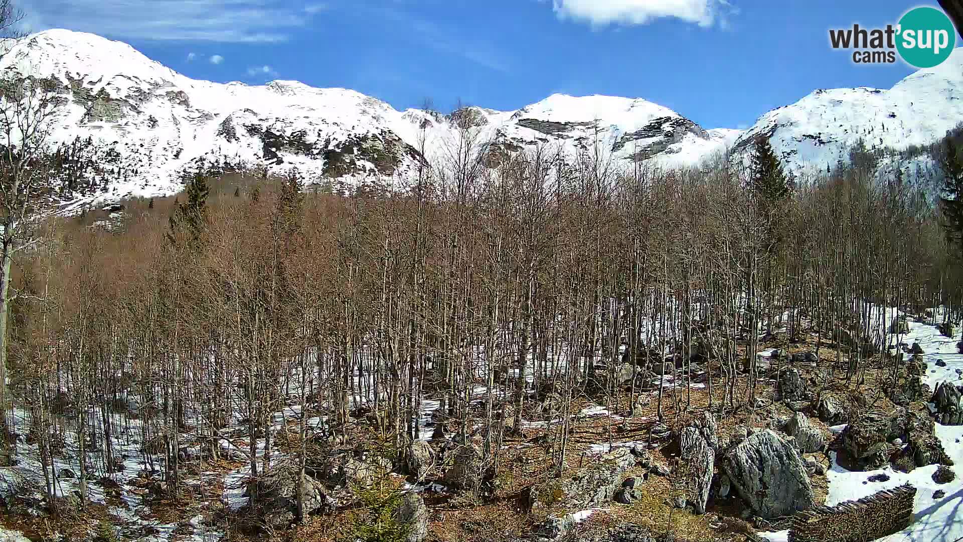 Cámara web PLANINA RAZOR (1315) | vista a Vogel y Globoko