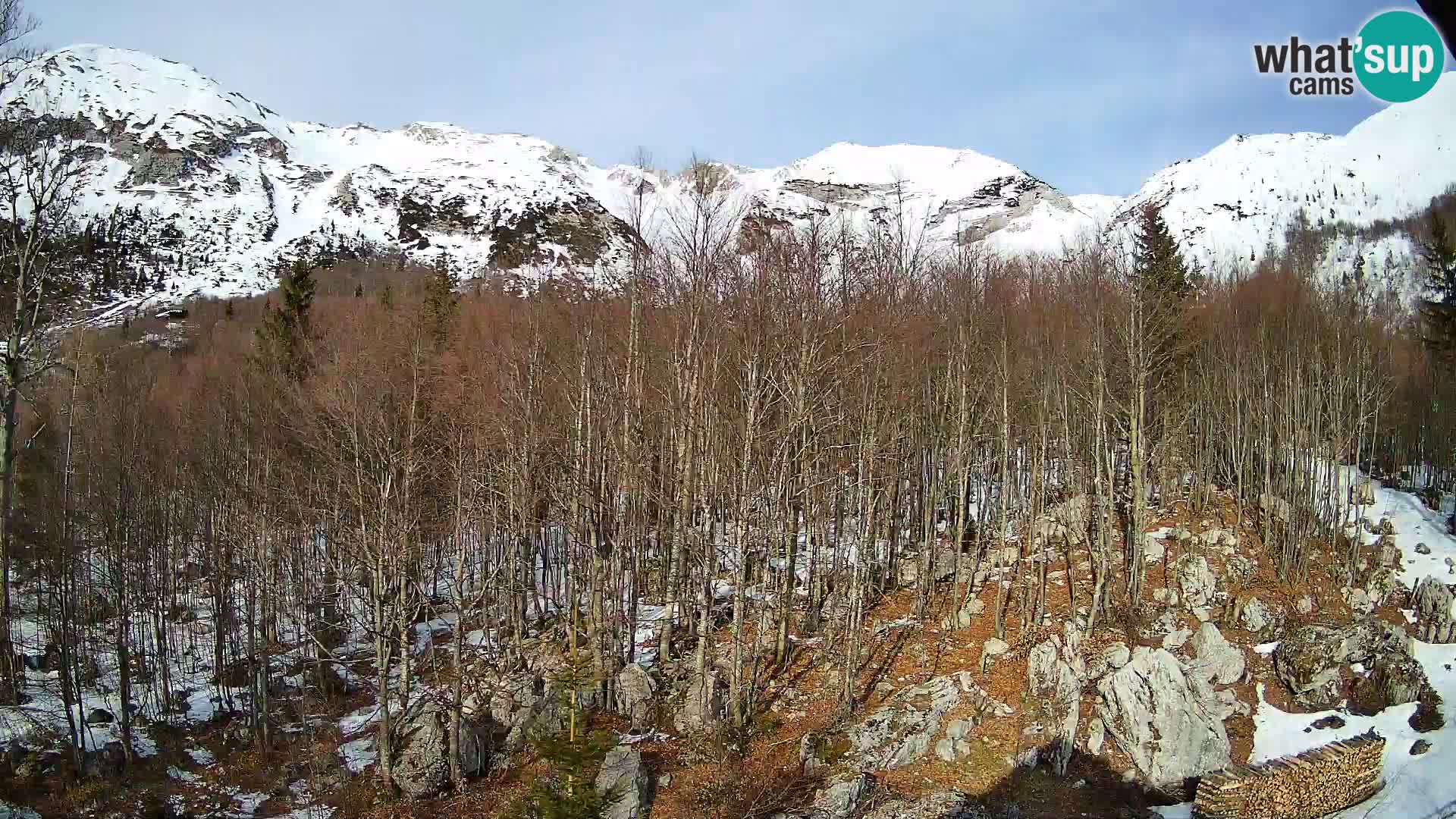 Livecam PLANINA RAZOR (1315) | vue sur Vogel et Globoko