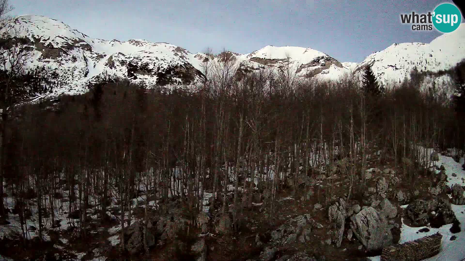 PLANINA RAZOR webcam (1315) | view to Vogel and Globoko