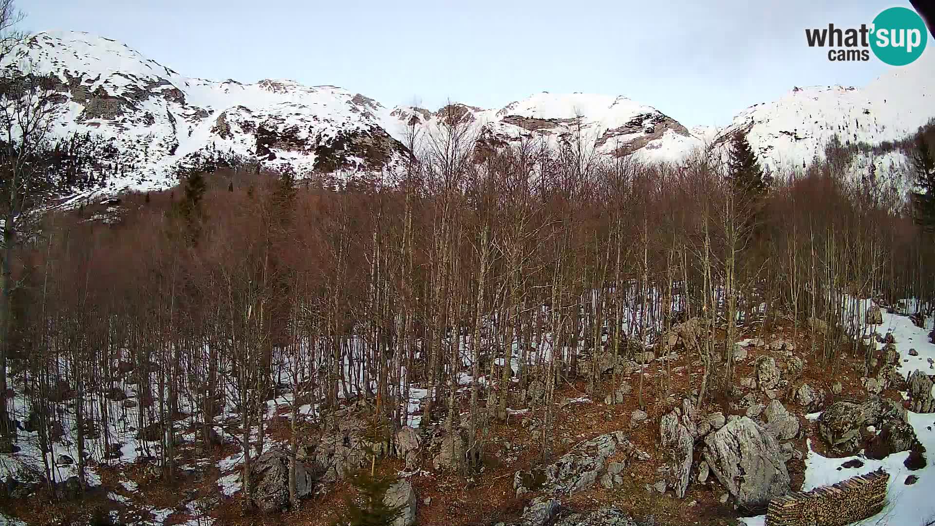 Livecam PLANINA RAZOR (1315) | vue sur Vogel et Globoko