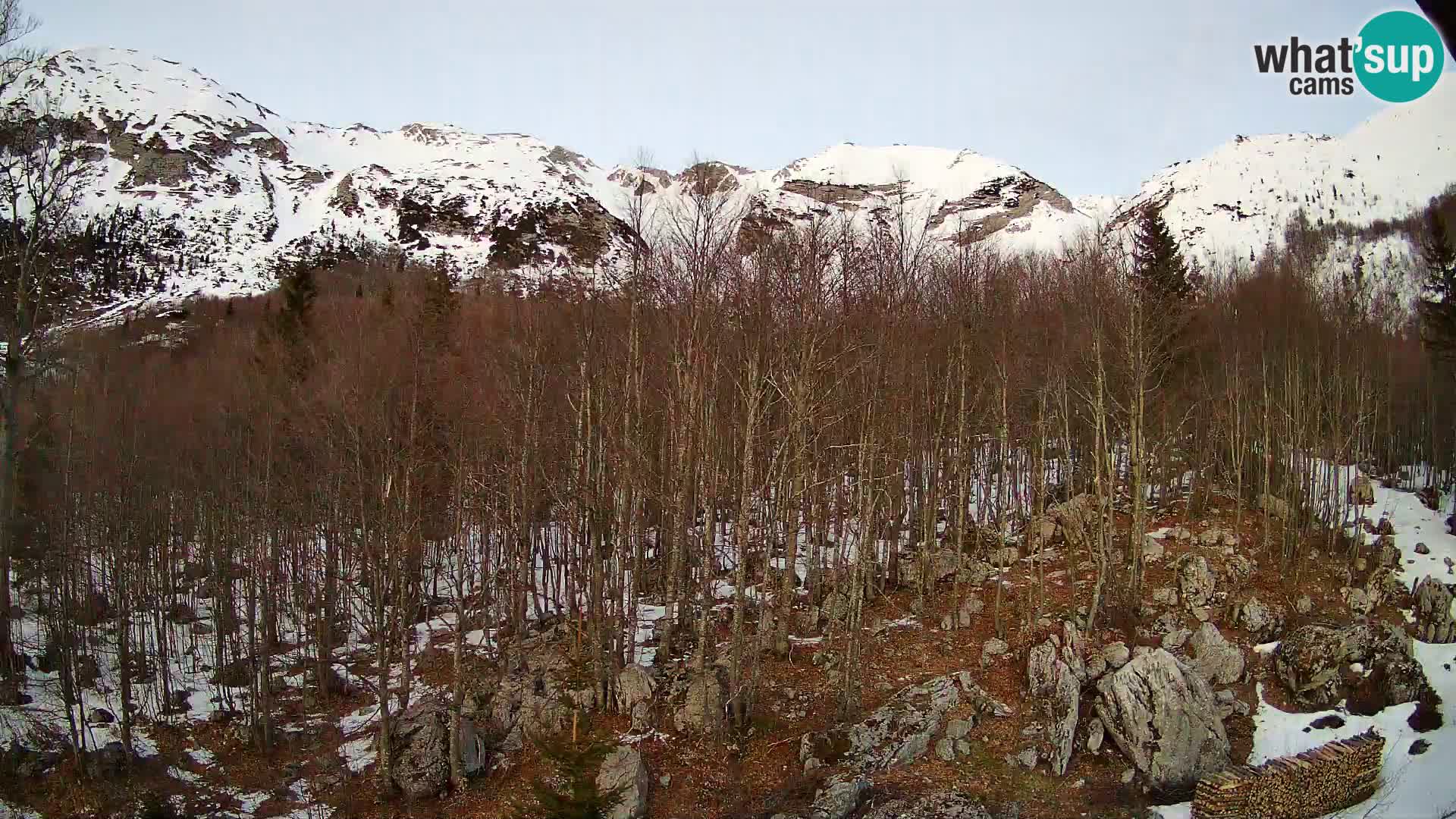 Cámara web PLANINA RAZOR (1315) | vista a Vogel y Globoko