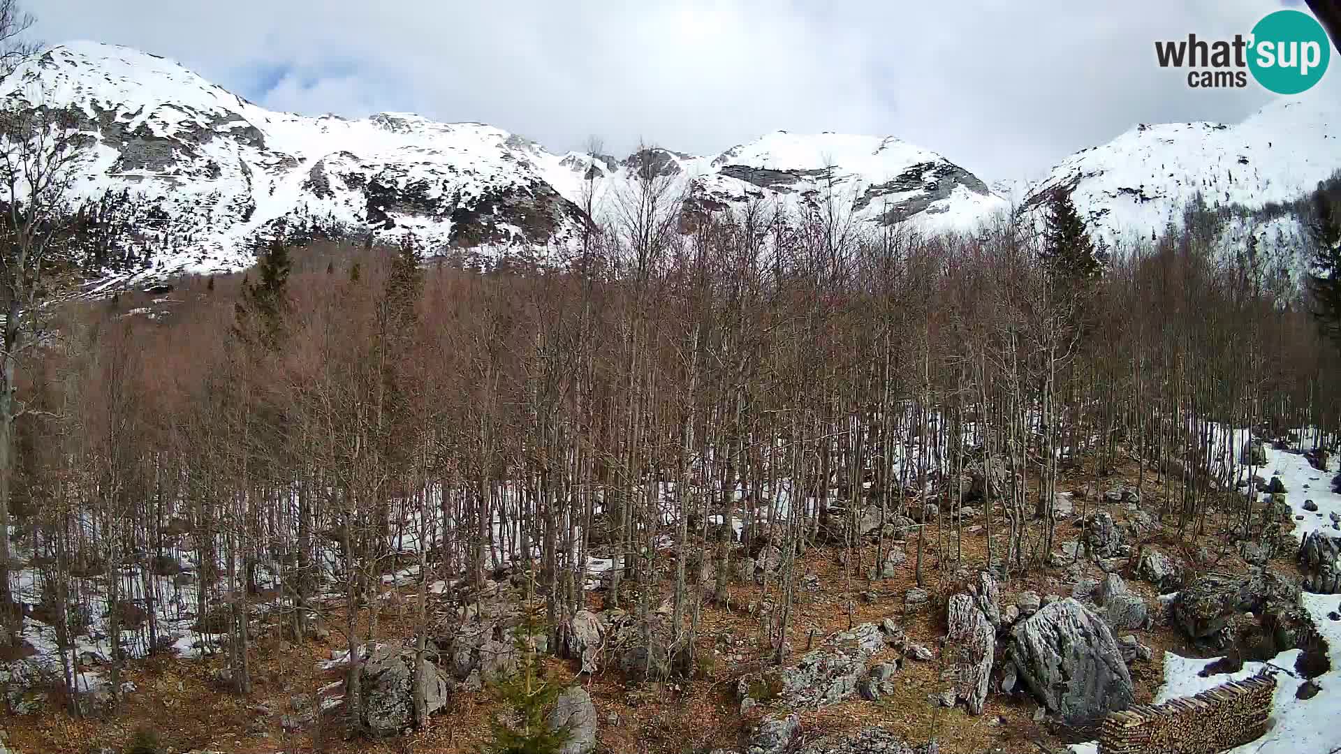 Cámara web PLANINA RAZOR (1315) | vista a Vogel y Globoko