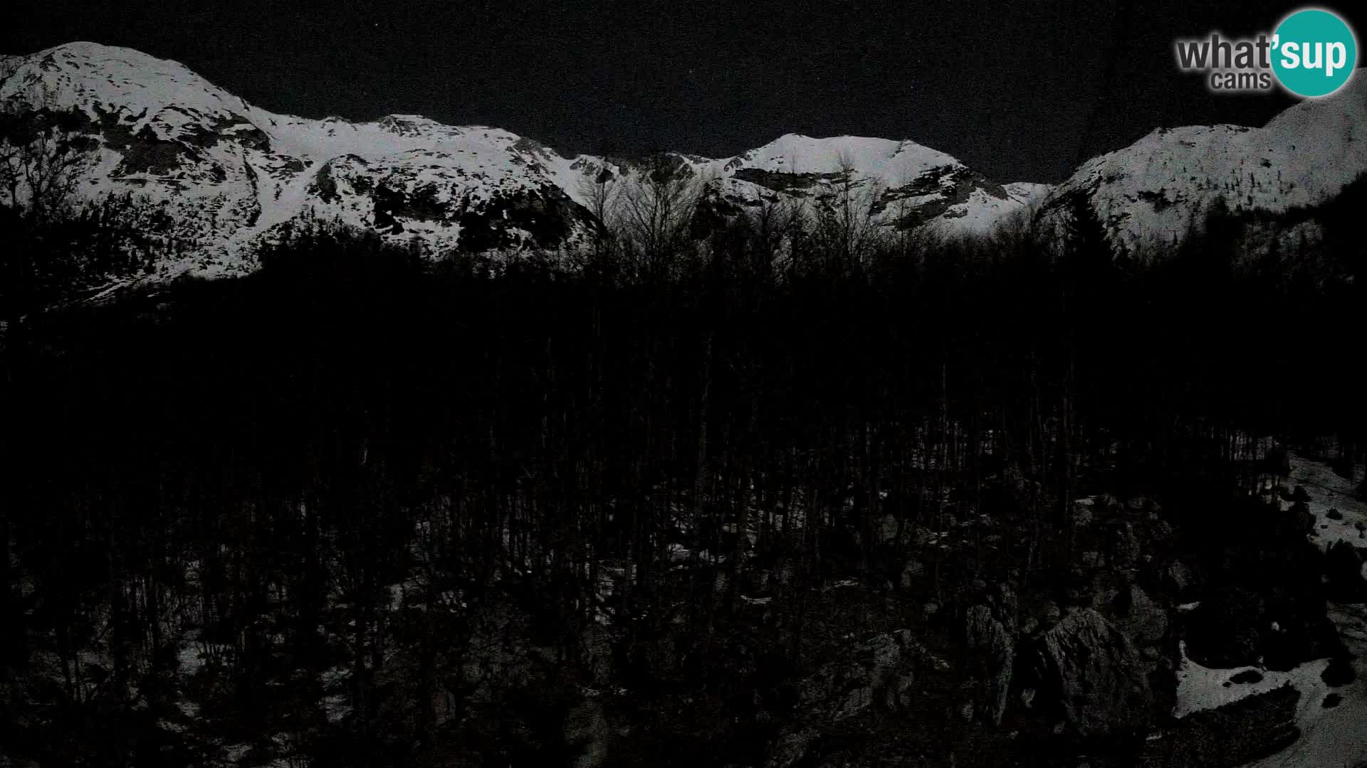 Webcam PLANINA RAZOR (1315) | Blick auf Vogel und Globoko