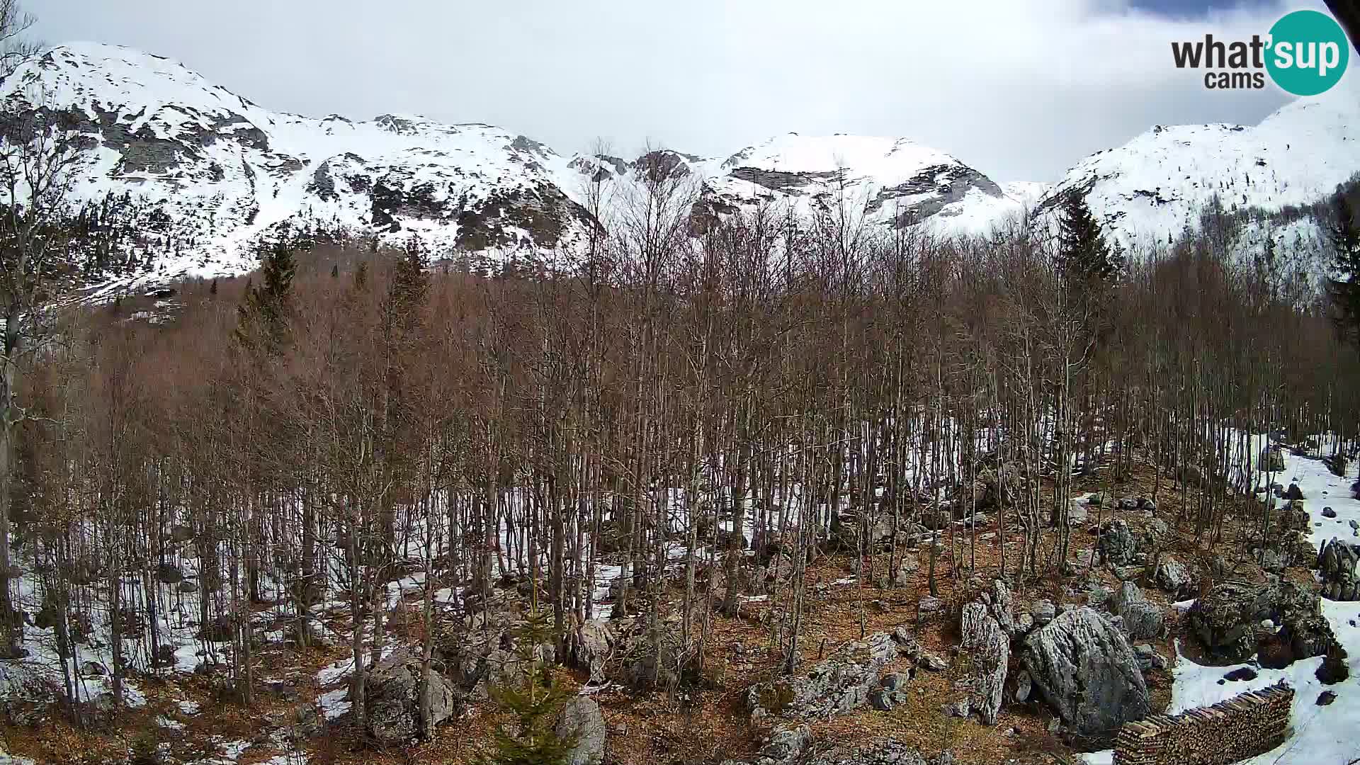 Cámara web PLANINA RAZOR (1315) | vista a Vogel y Globoko