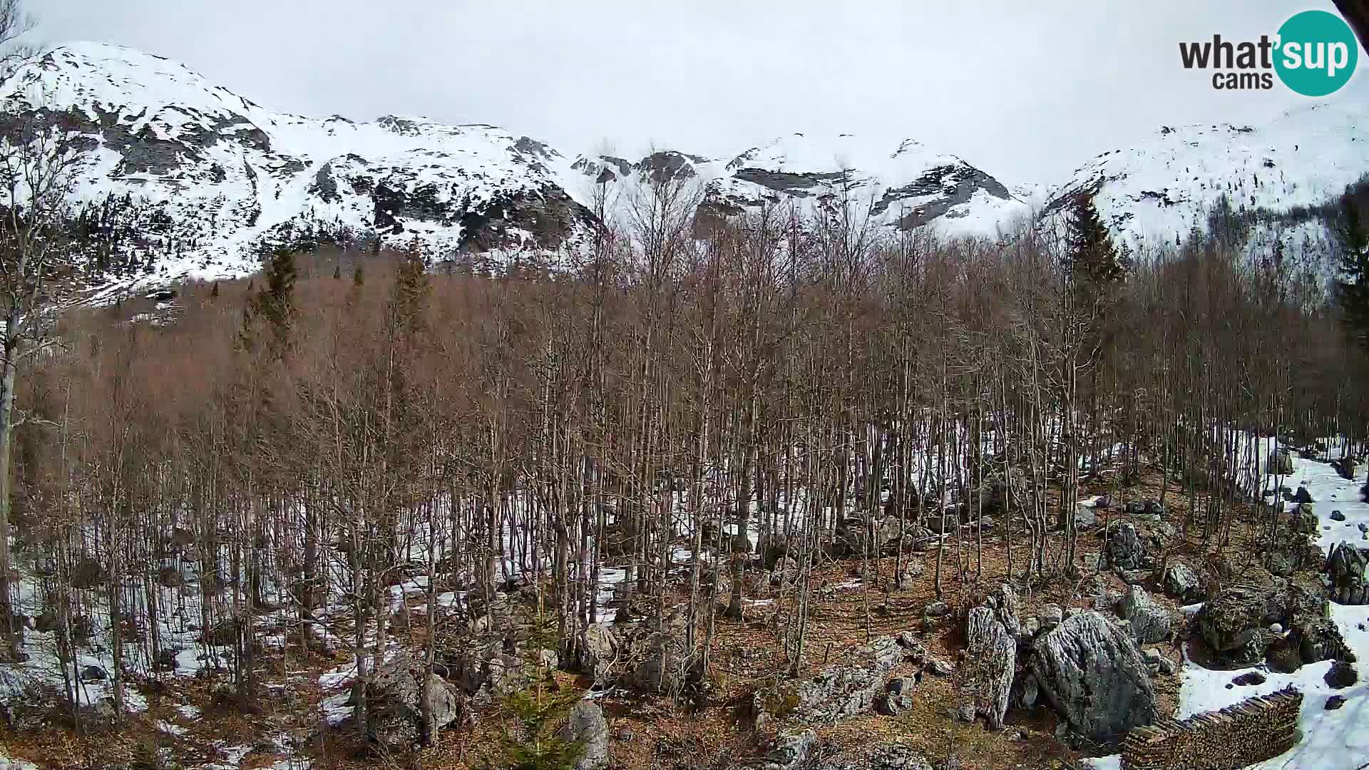 Cámara web PLANINA RAZOR (1315) | vista a Vogel y Globoko