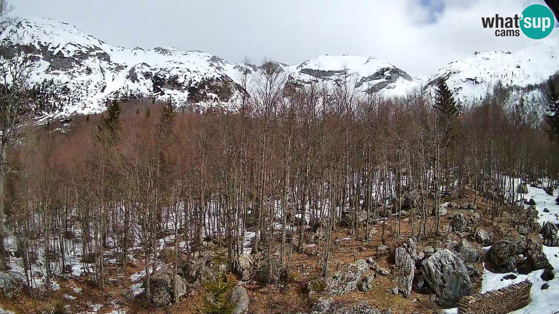 Livecam PLANINA RAZOR (1315) | vue sur Vogel et Globoko